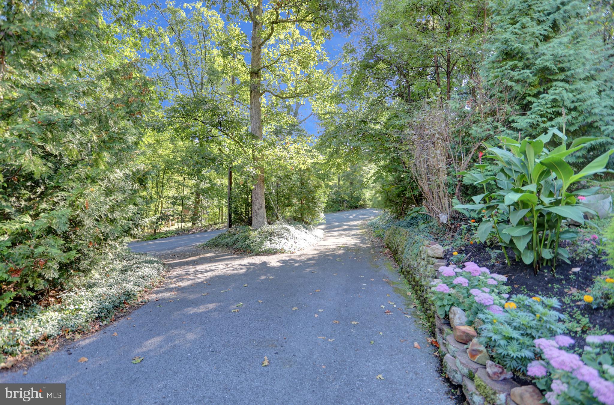 650 BUCKS CHURCH ROAD