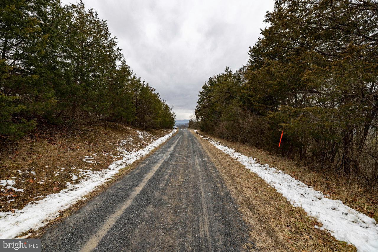 SHENANDOAH RIVER BEND - Land