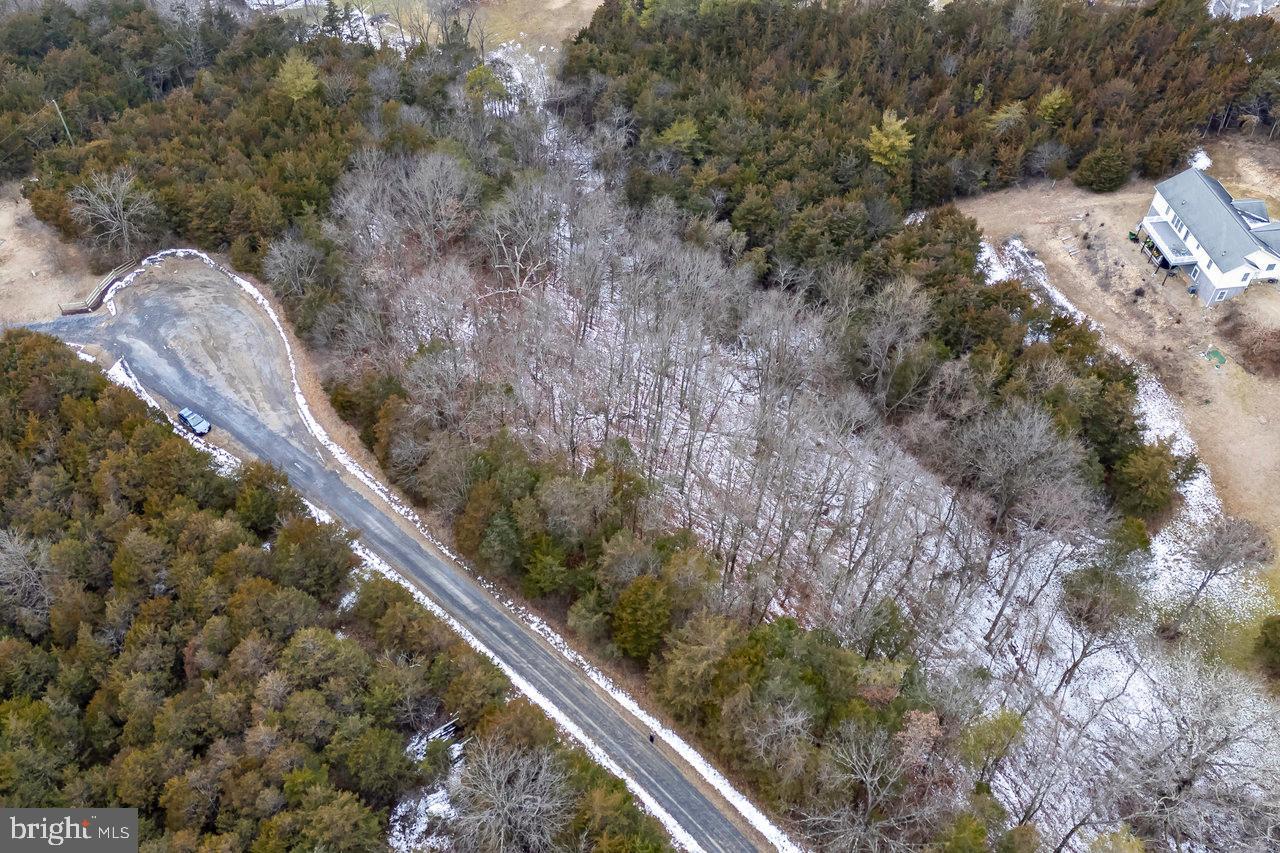 SHENANDOAH RIVER BEND - Land