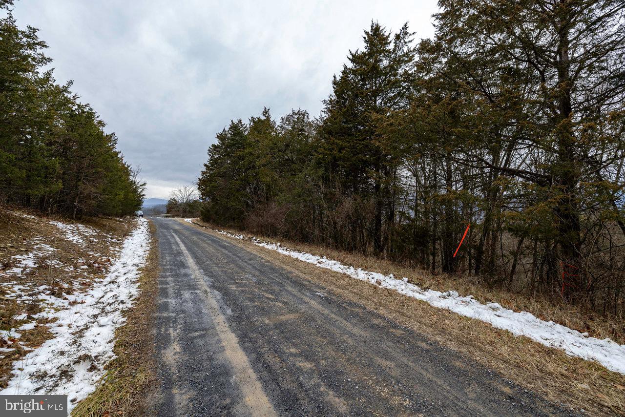 SHENANDOAH RIVER BEND - Land