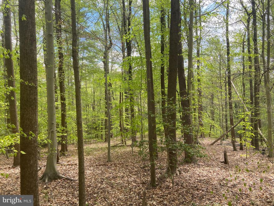Incredible opportunity for a beautiful piece of land off Telegraph Road.  4.6 acres