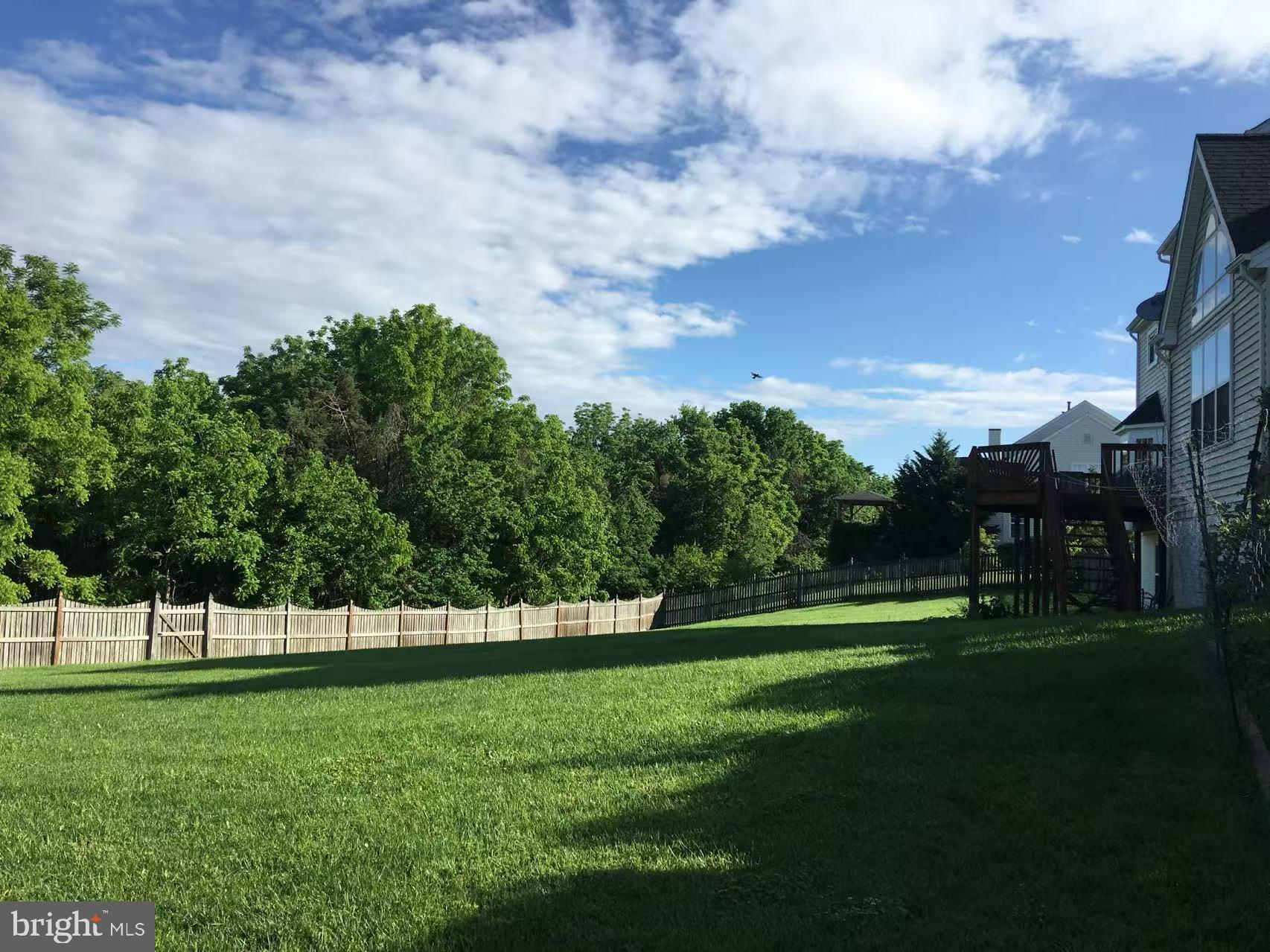 CAMERON CHASE - Residential Lease