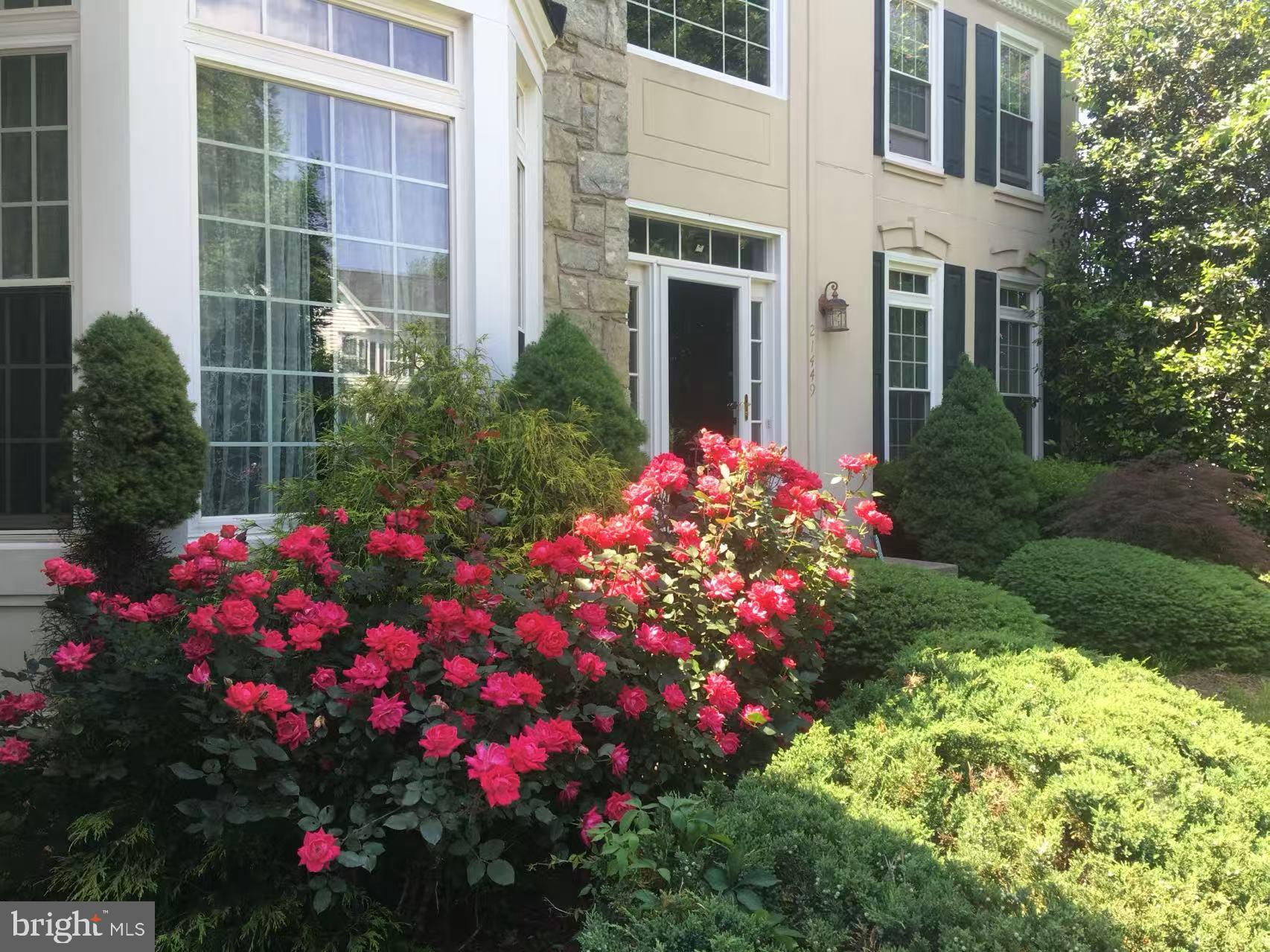 CAMERON CHASE - Residential Lease