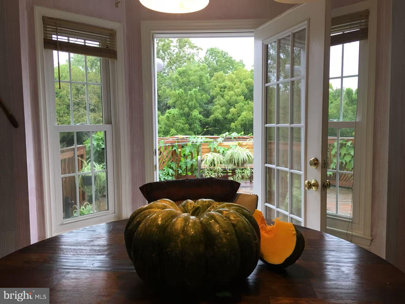 CAMERON CHASE - Residential Lease