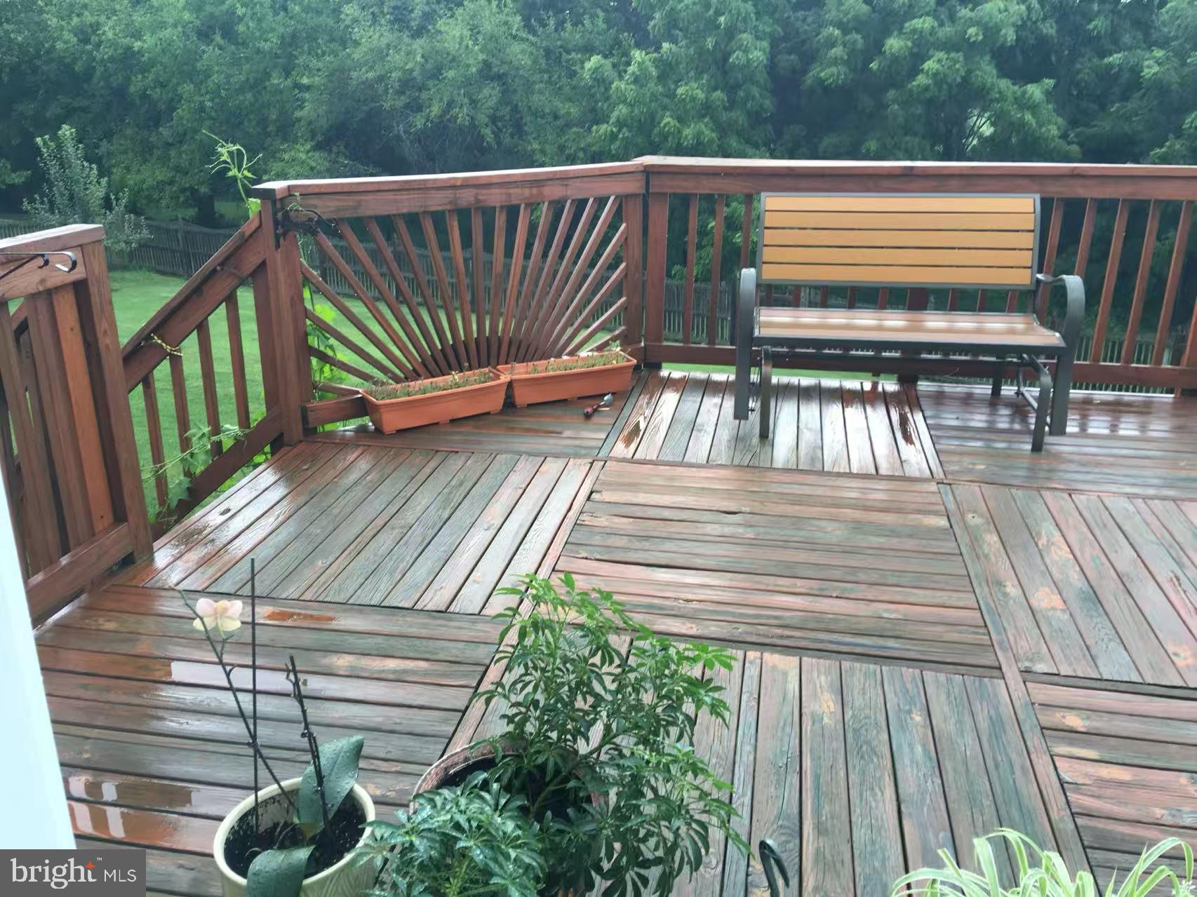 CAMERON CHASE - Residential Lease