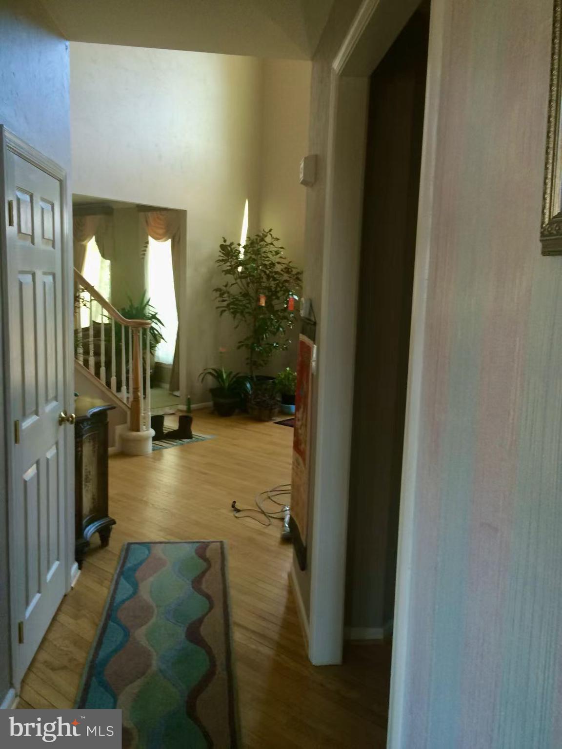 CAMERON CHASE - Residential Lease