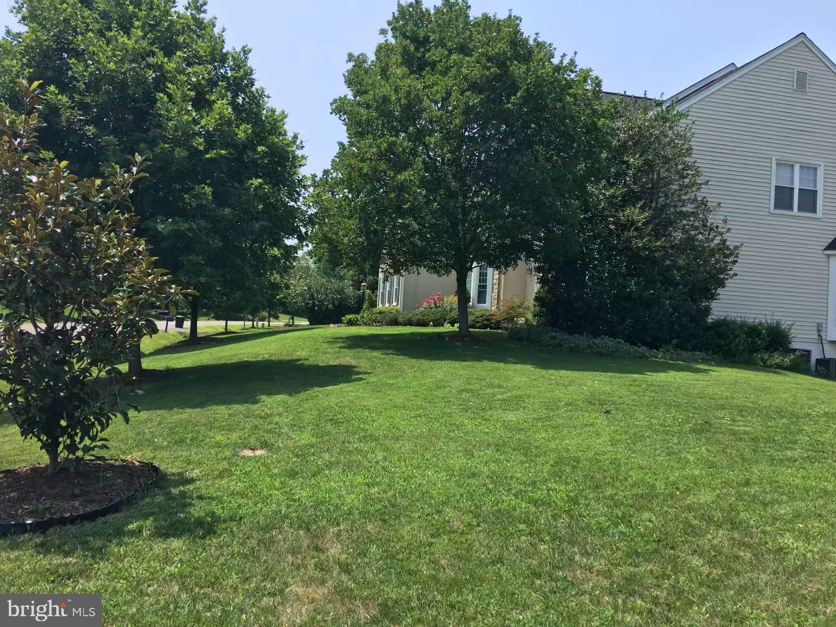 CAMERON CHASE - Residential Lease