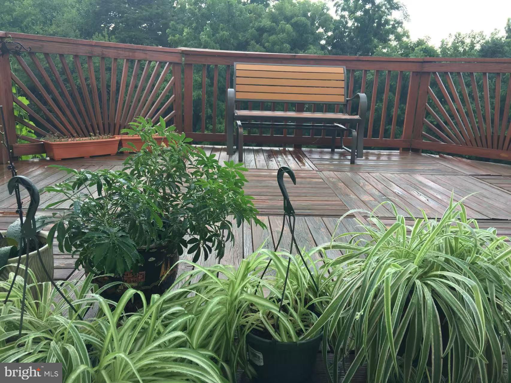 CAMERON CHASE - Residential Lease