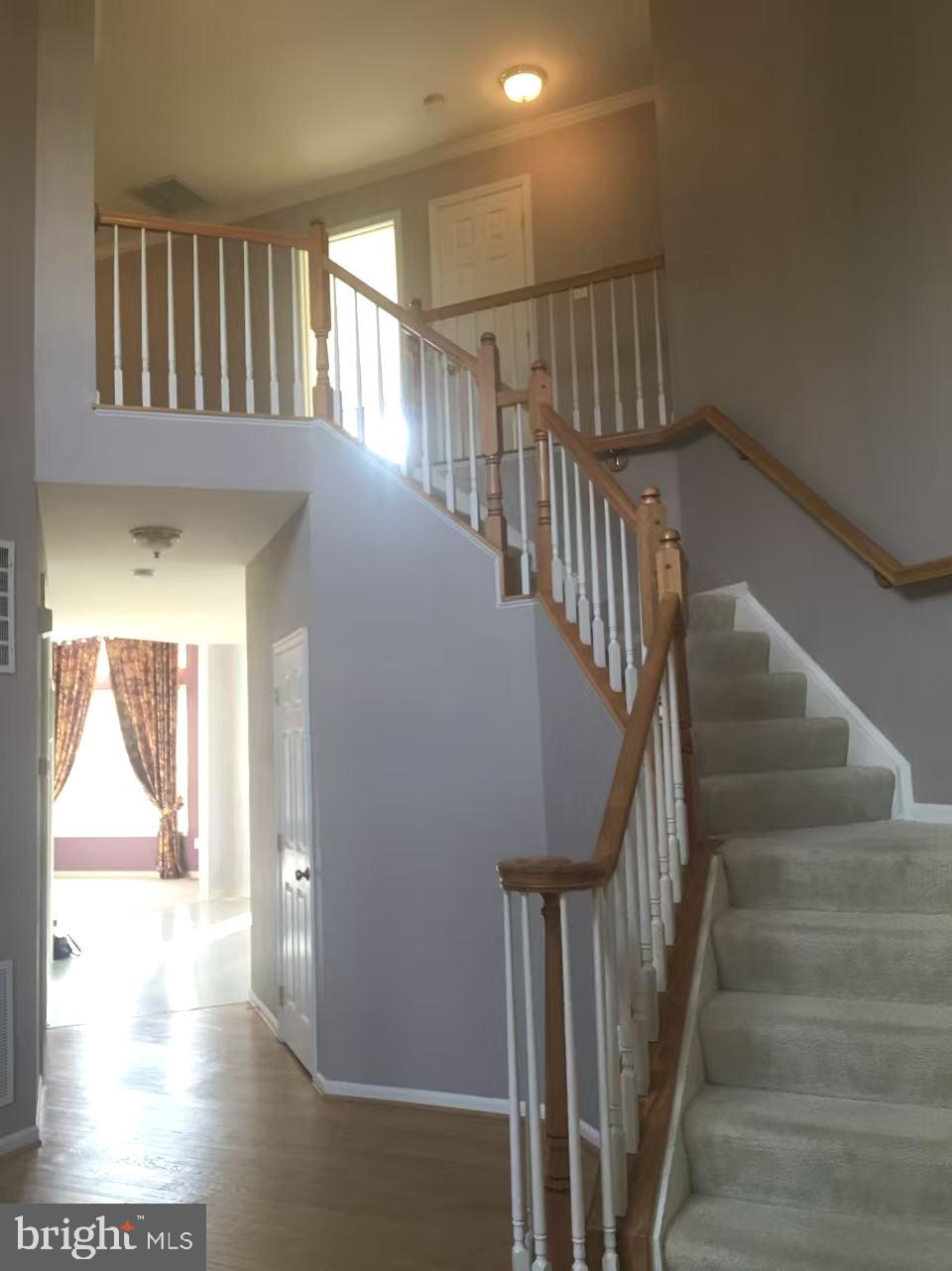 CAMERON CHASE - Residential Lease