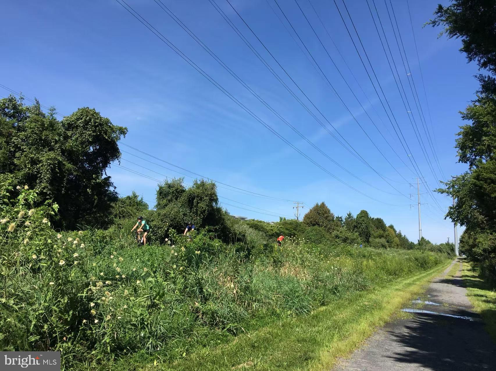 CAMERON CHASE - Residential Lease