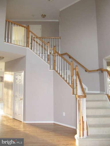 CAMERON CHASE - Residential Lease