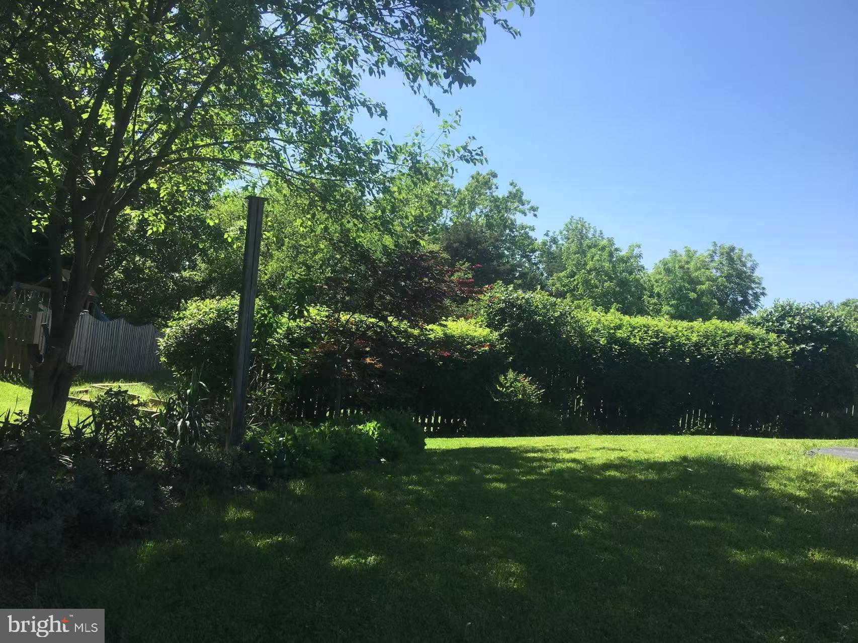 CAMERON CHASE - Residential Lease