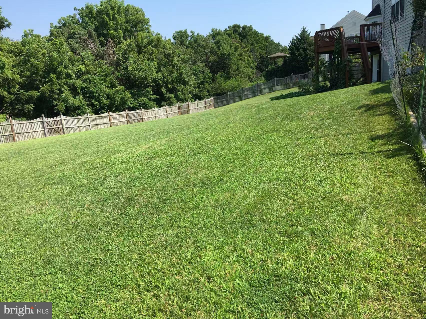 CAMERON CHASE - Residential Lease