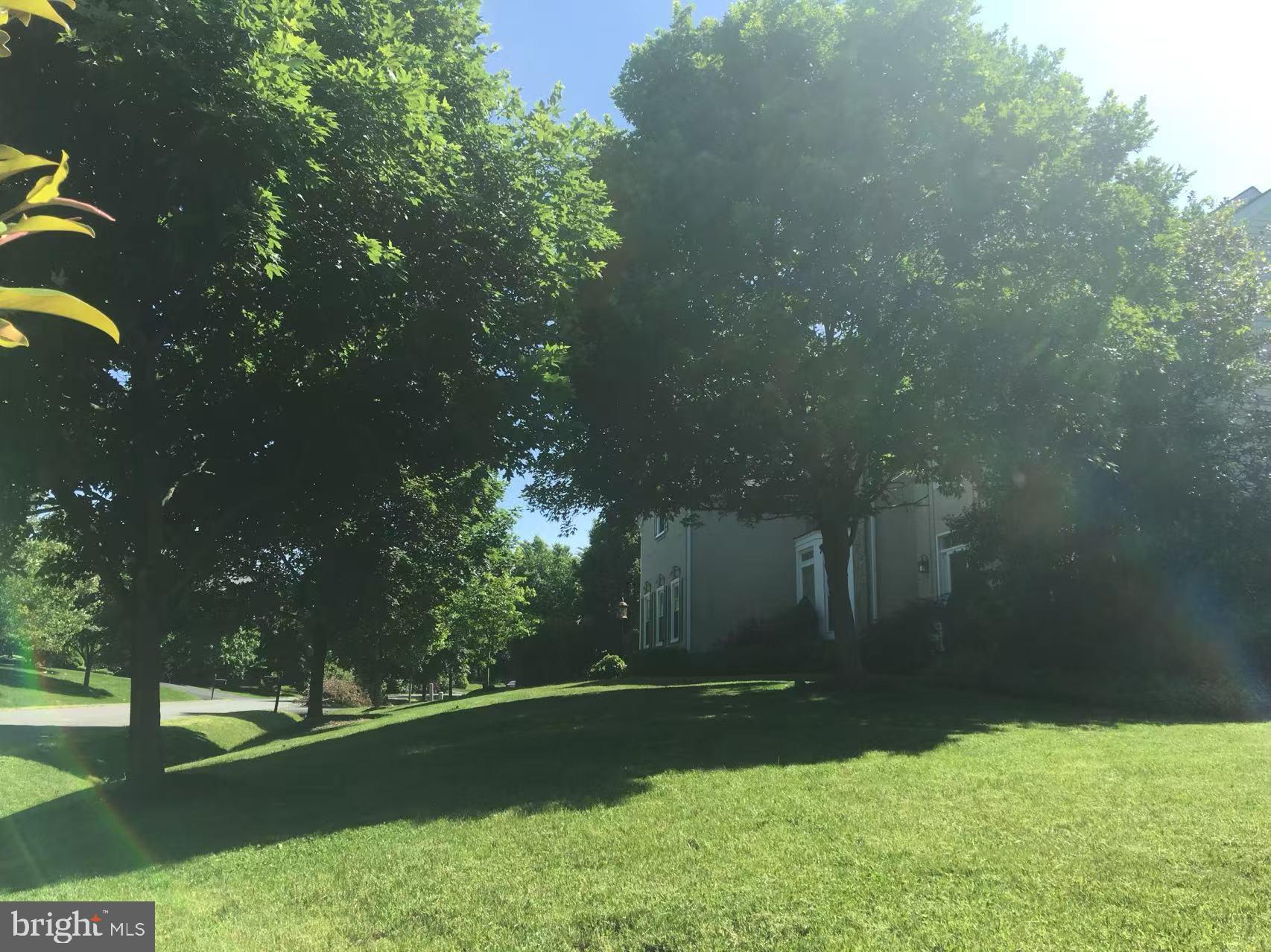 CAMERON CHASE - Residential Lease