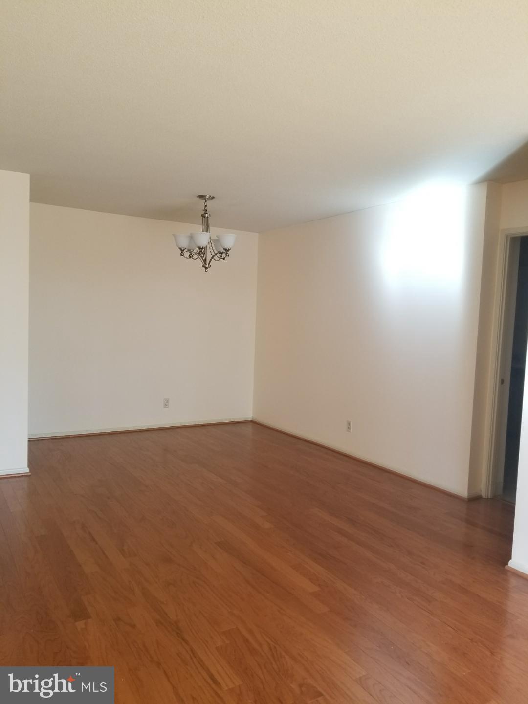 309 YOAKUM PARKWAY 514