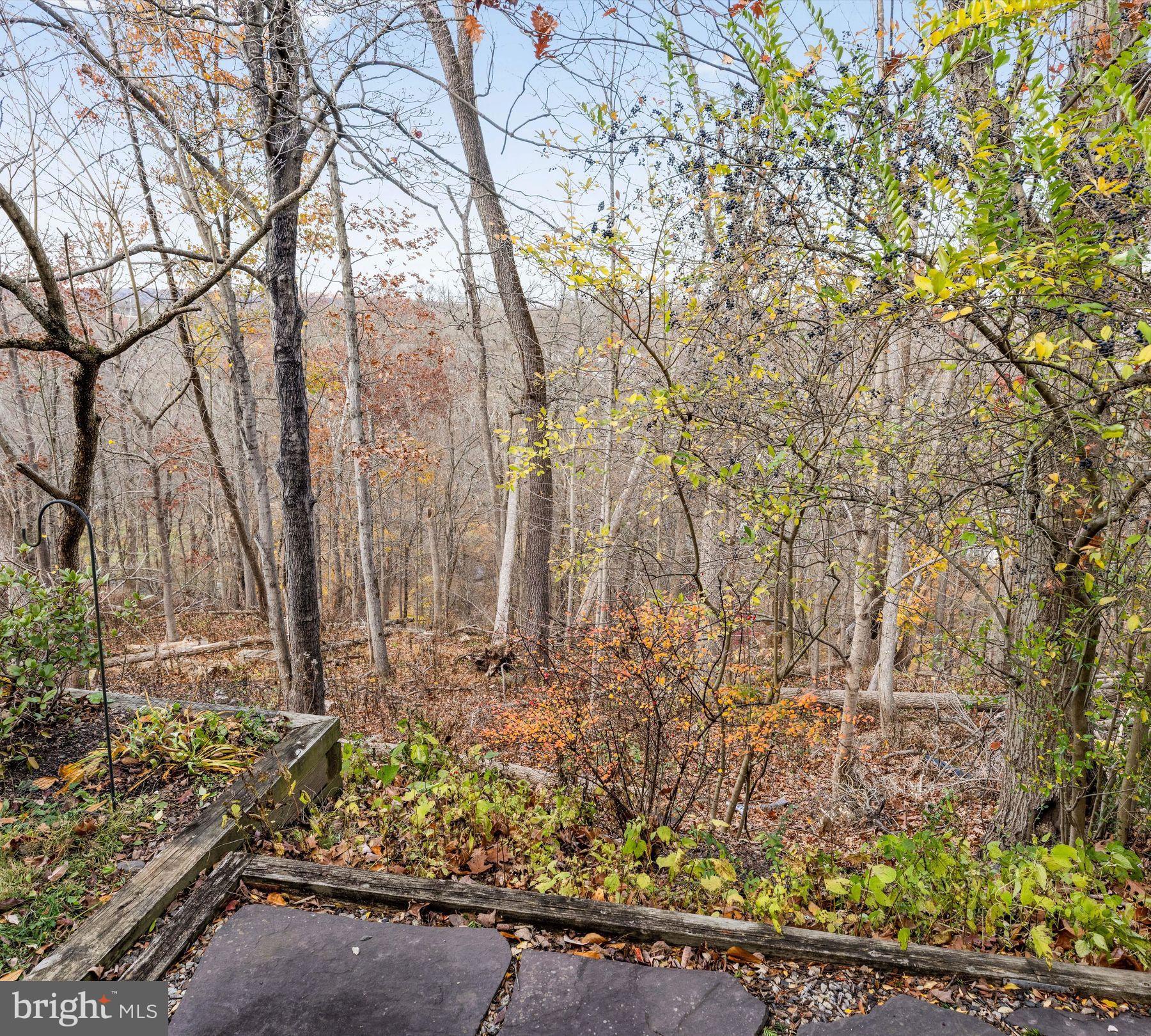 VILLAGE II - Residential