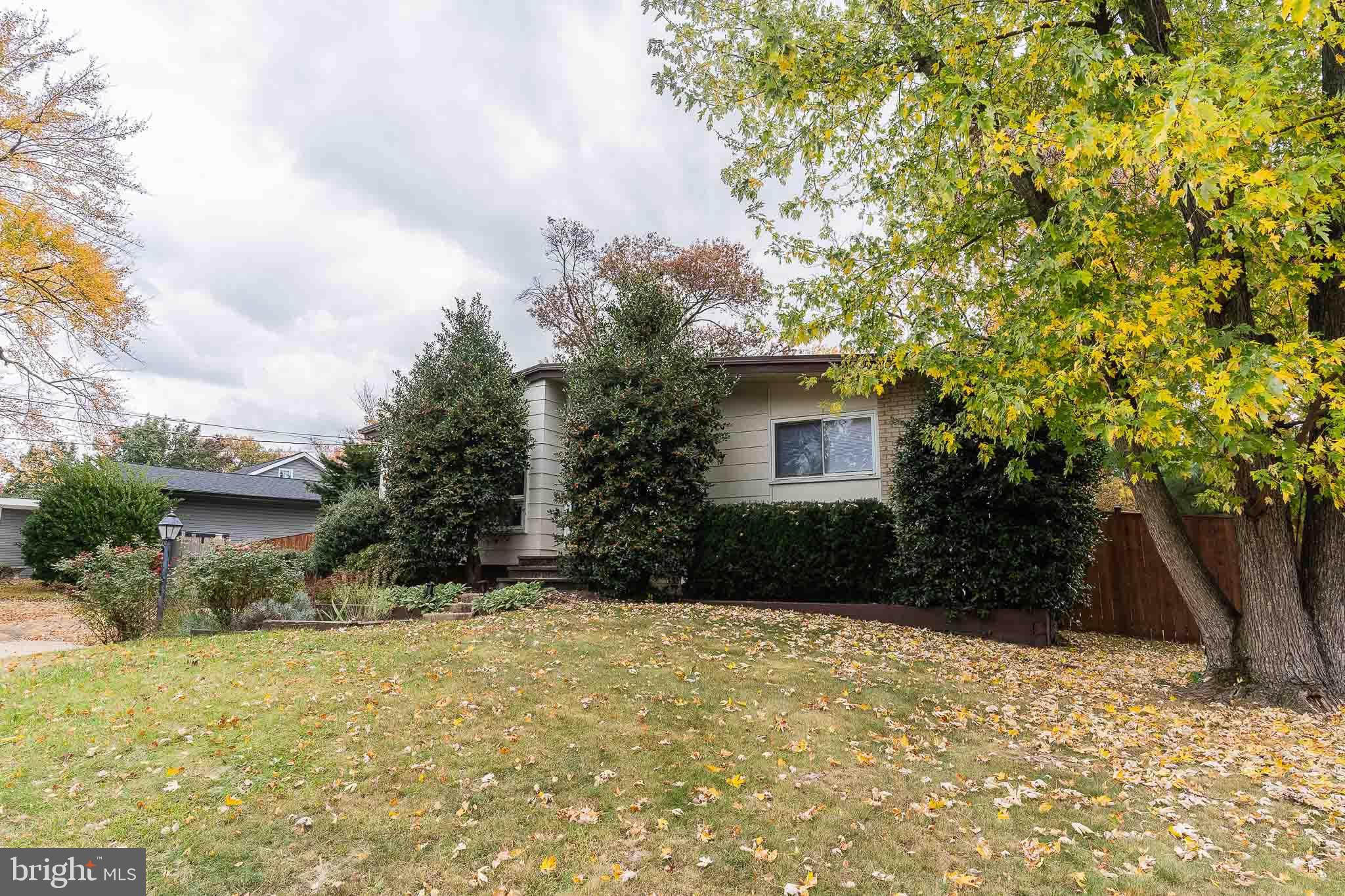 SPRINGFIELD ESTATES - Residential Lease