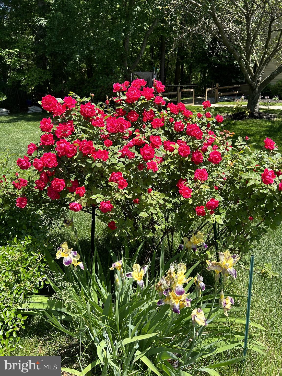 MIDDLEBROOK MANOR - Residential