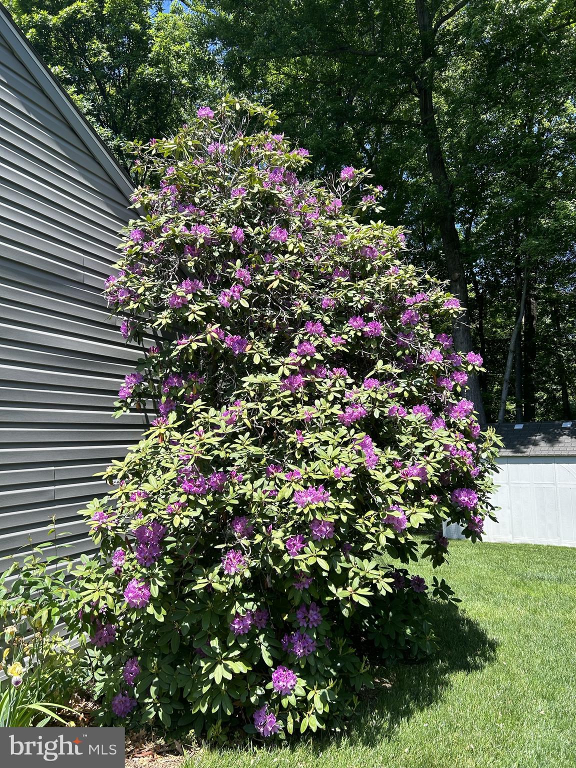 MIDDLEBROOK MANOR - Residential