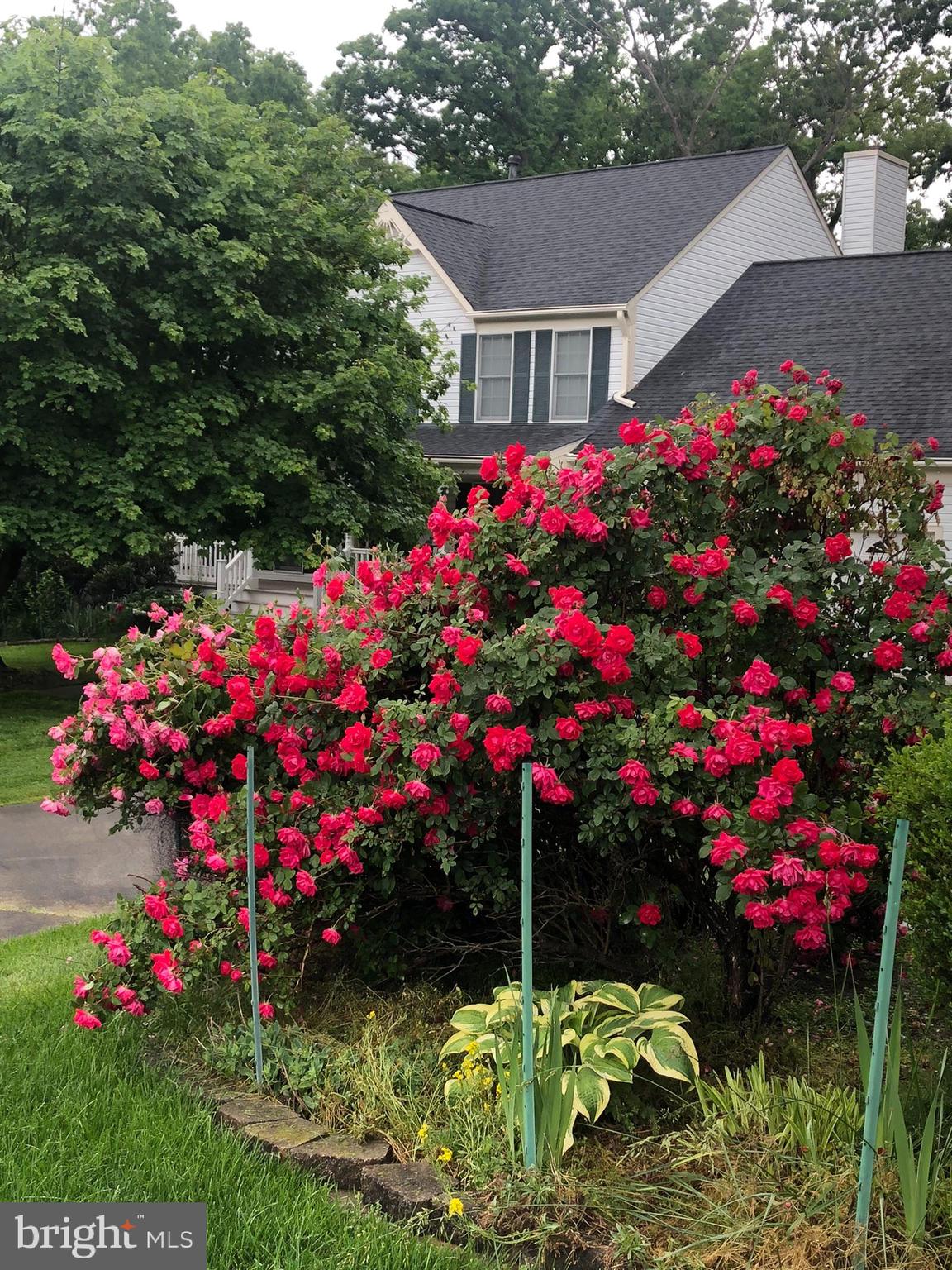 MIDDLEBROOK MANOR - Residential