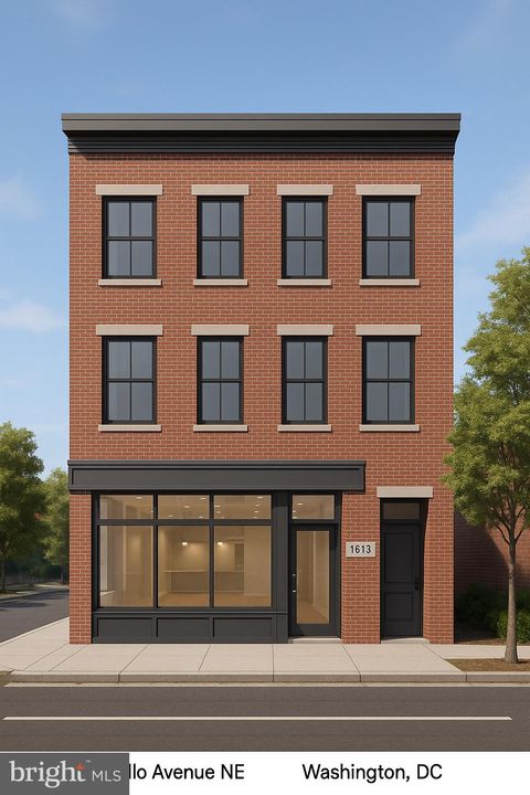 1613 MONTELLO AVENUE NE WASHINGTON DC 20002