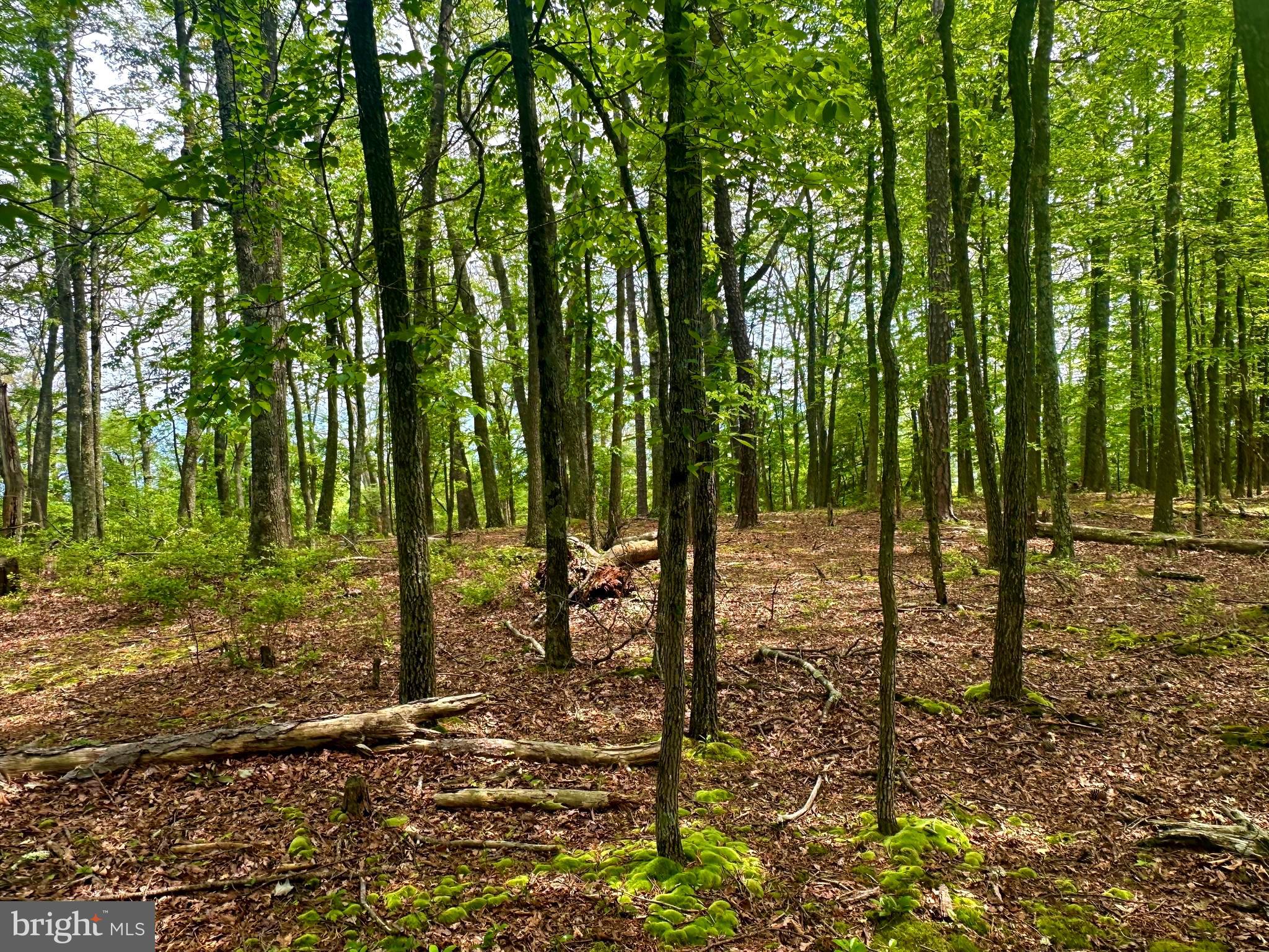 HIGH KNOB/OLD FIELDS OWNERS ASSOC. - Land