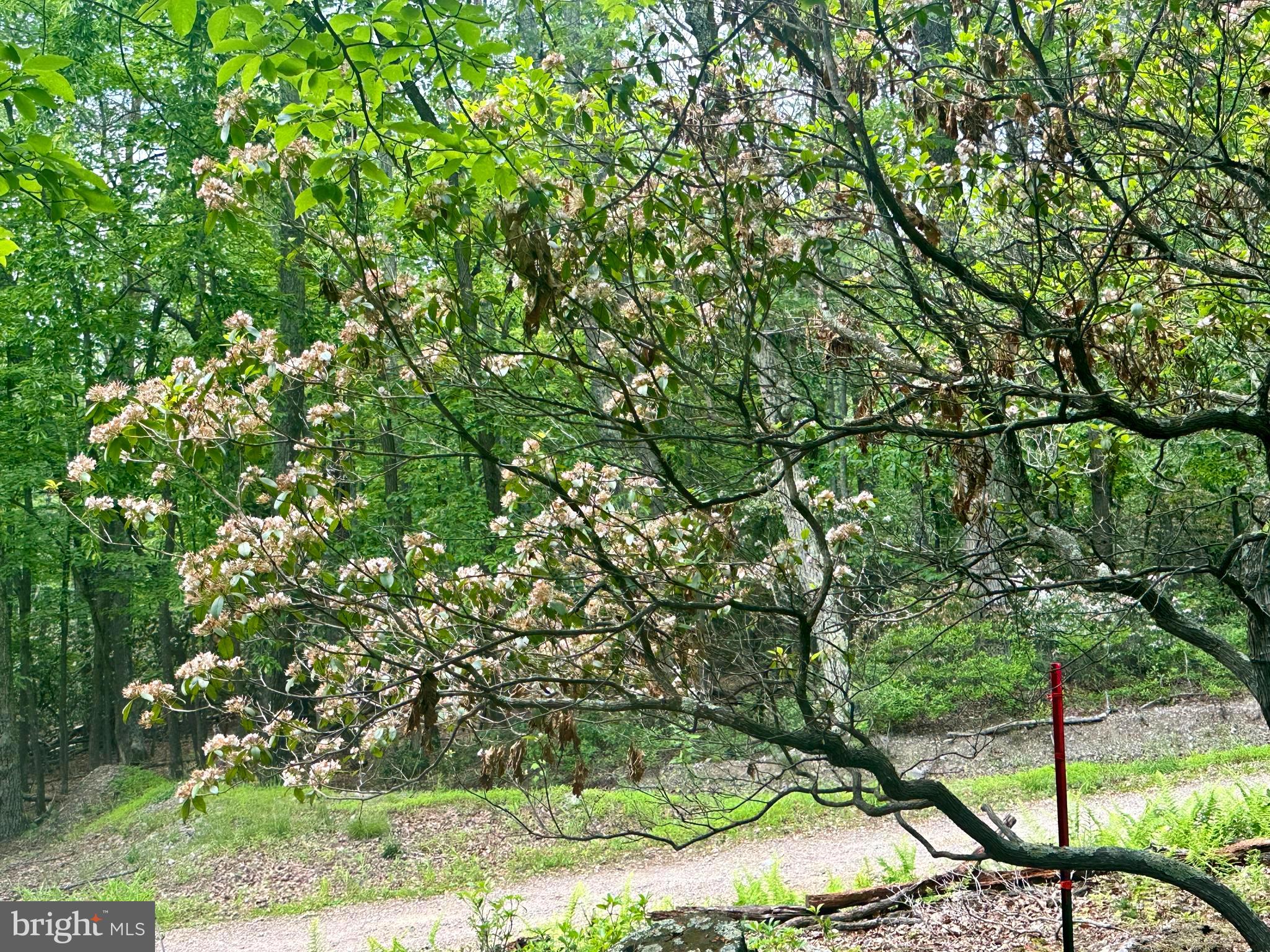 HIGH KNOB/OLD FIELDS OWNERS ASSOC. - Land