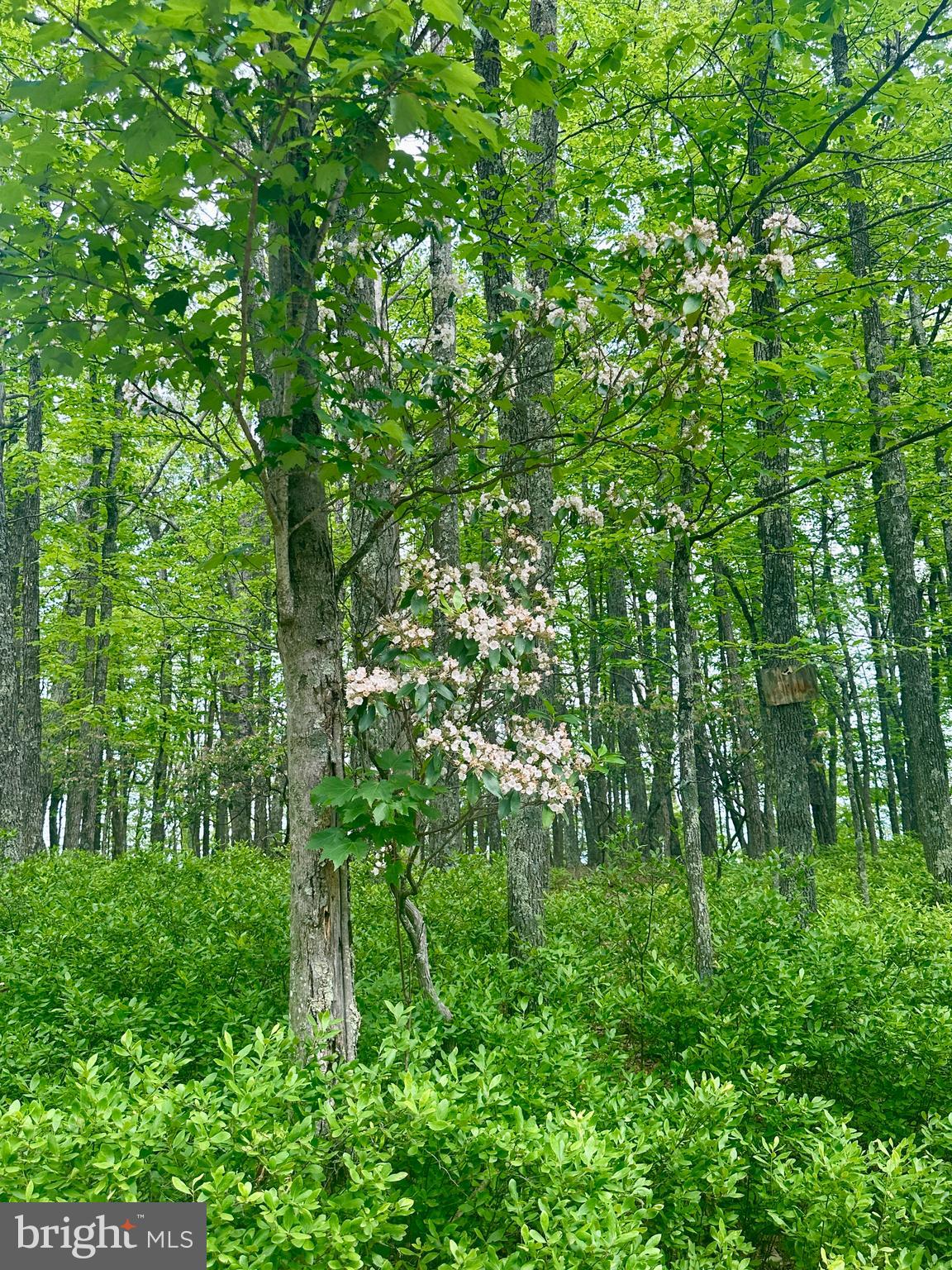 HIGH KNOB/OLD FIELDS OWNERS ASSOC. - Land