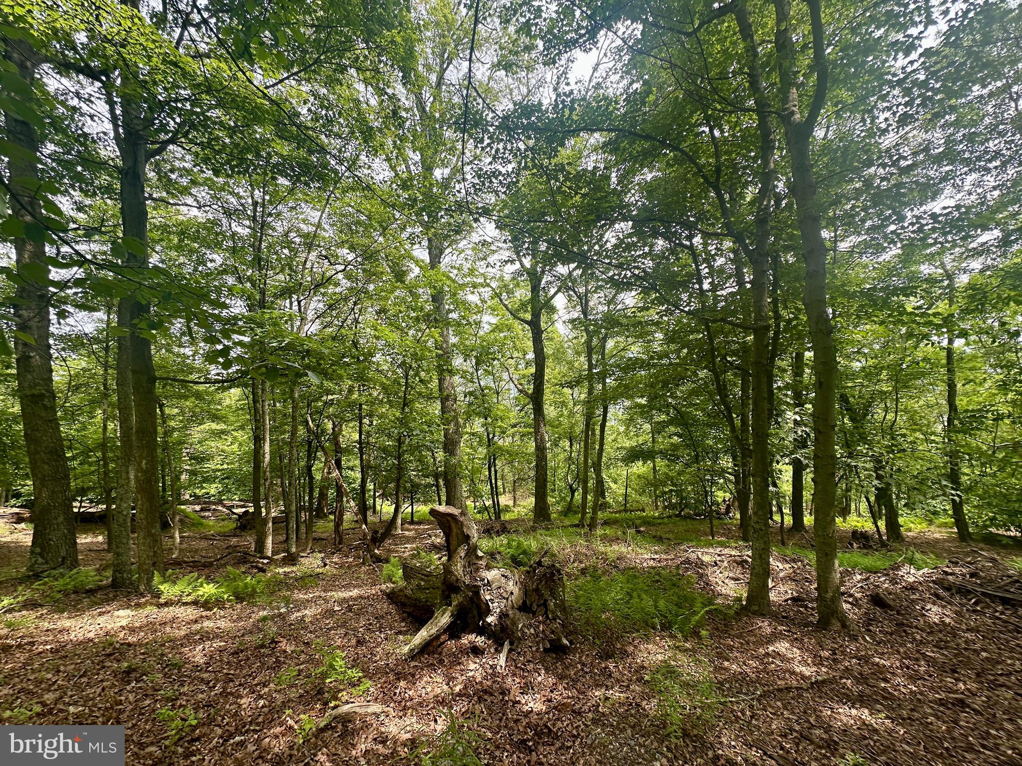 HIGH KNOB/OLD FIELDS OWNERS ASSOC. - Land