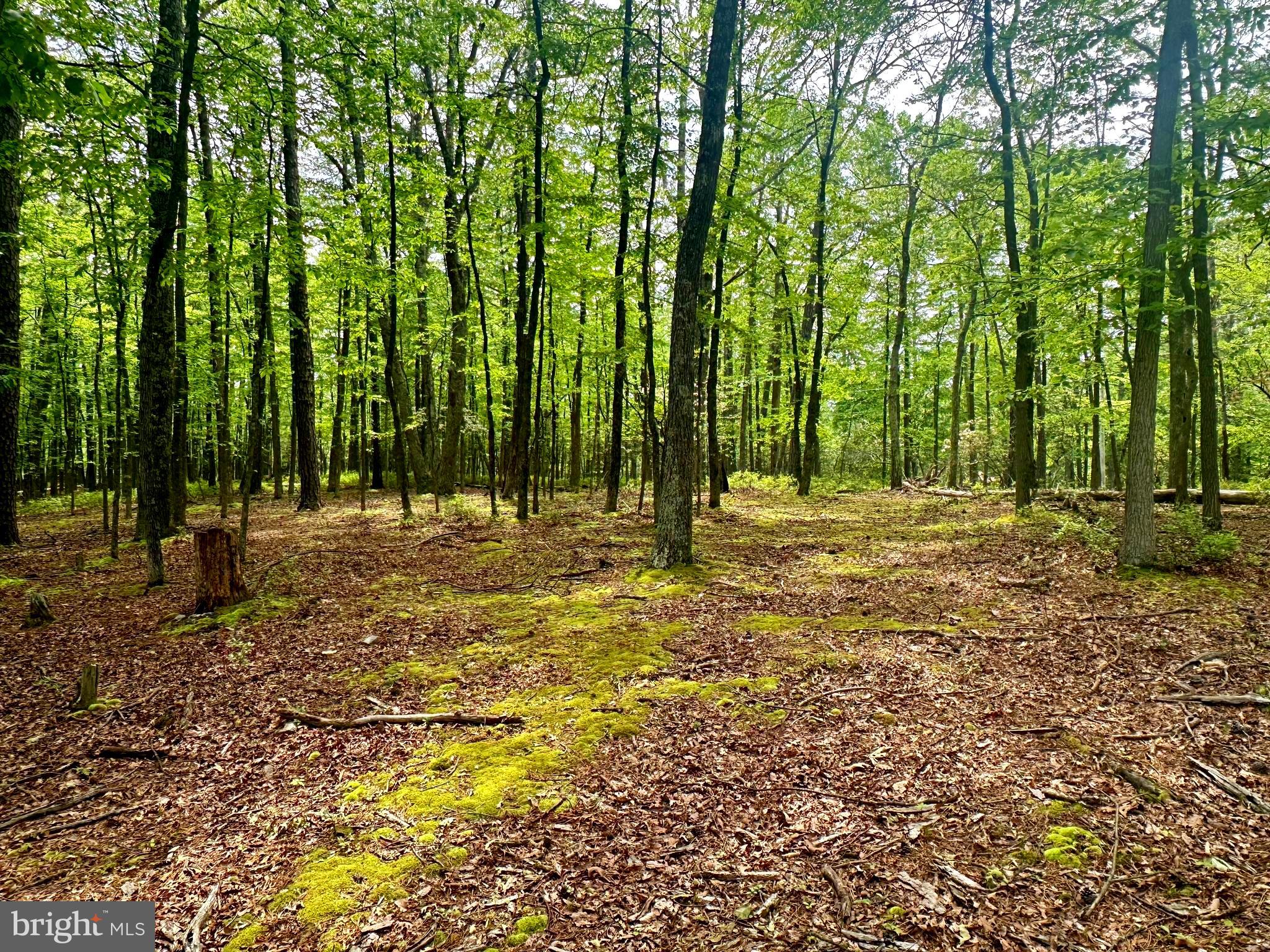 HIGH KNOB/OLD FIELDS OWNERS ASSOC. - Land