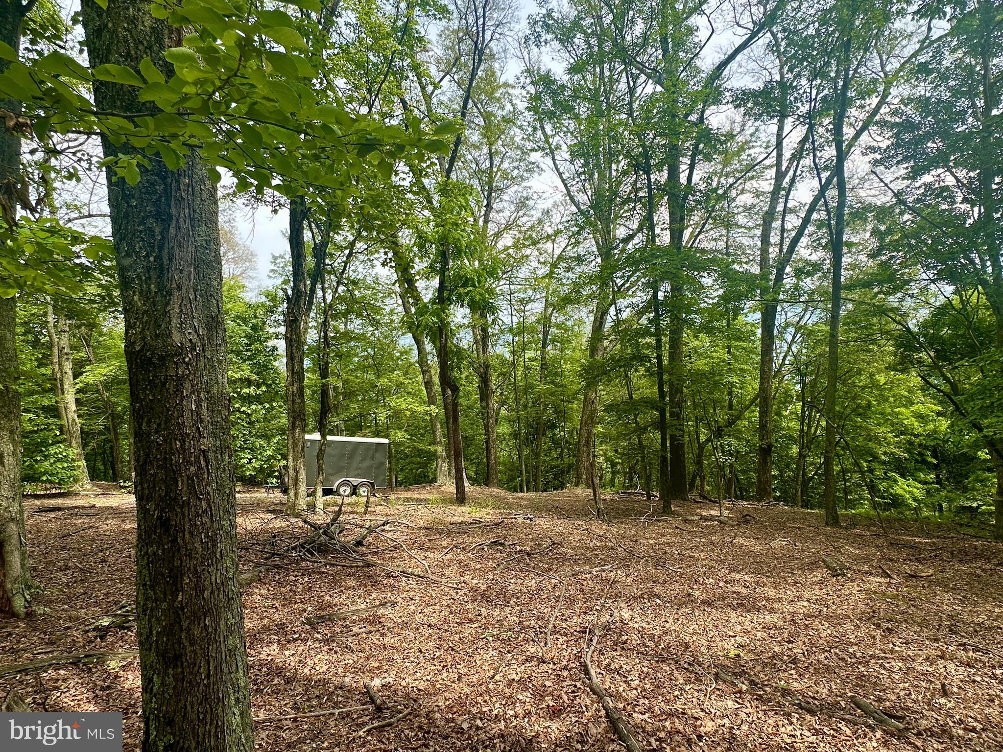 HIGH KNOB/OLD FIELDS OWNERS ASSOC. - Land