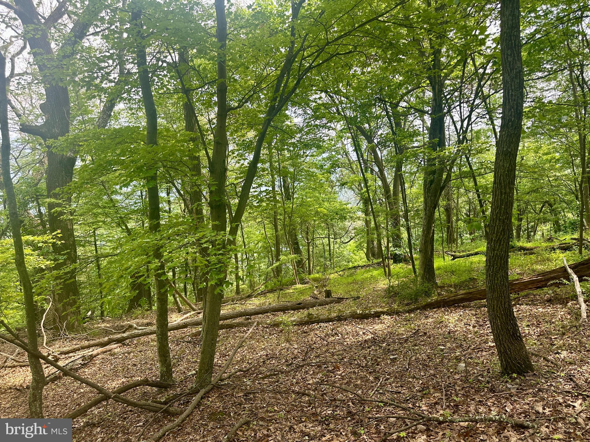 HIGH KNOB/OLD FIELDS OWNERS ASSOC. - Land