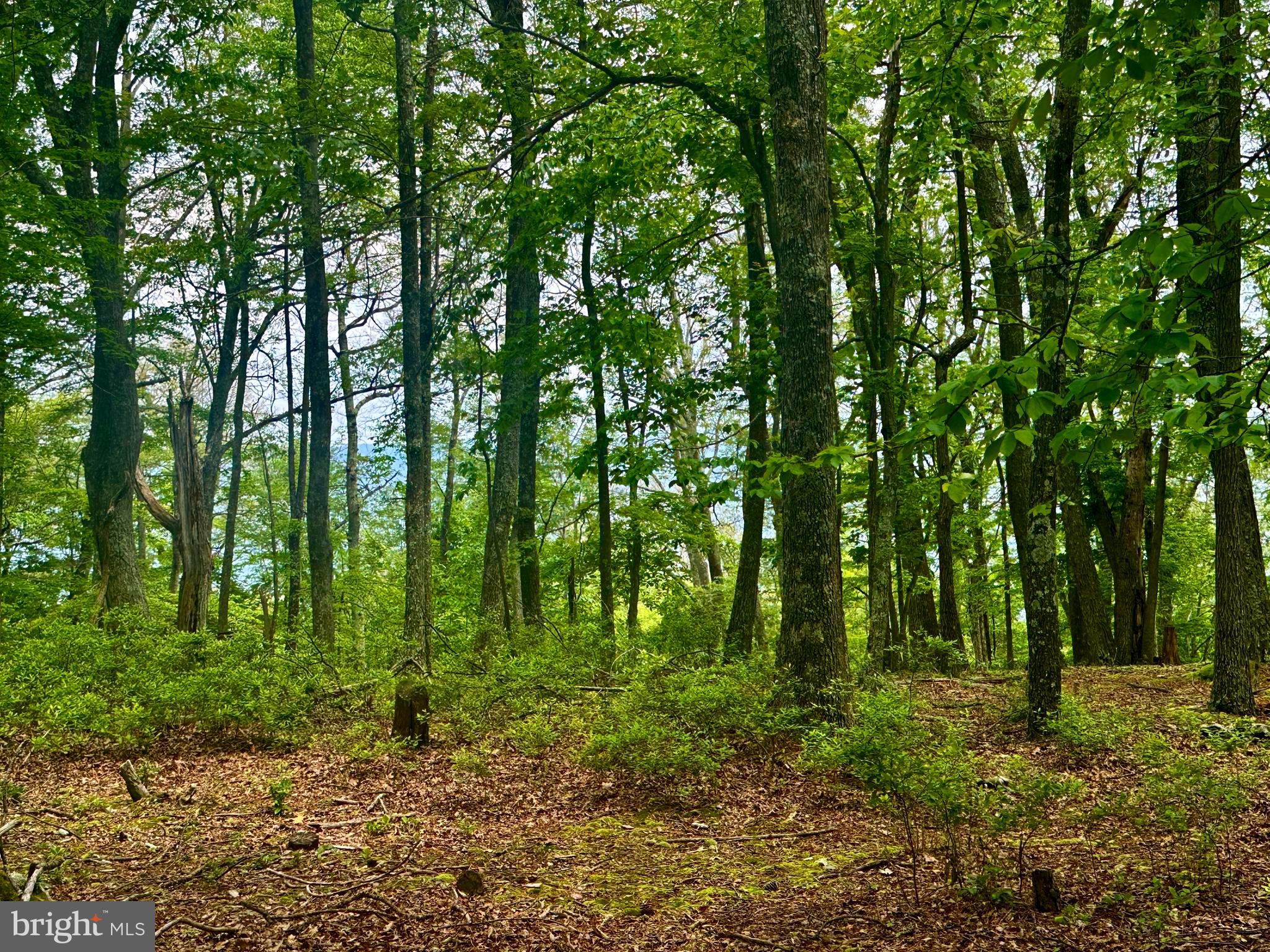 HIGH KNOB/OLD FIELDS OWNERS ASSOC. - Land