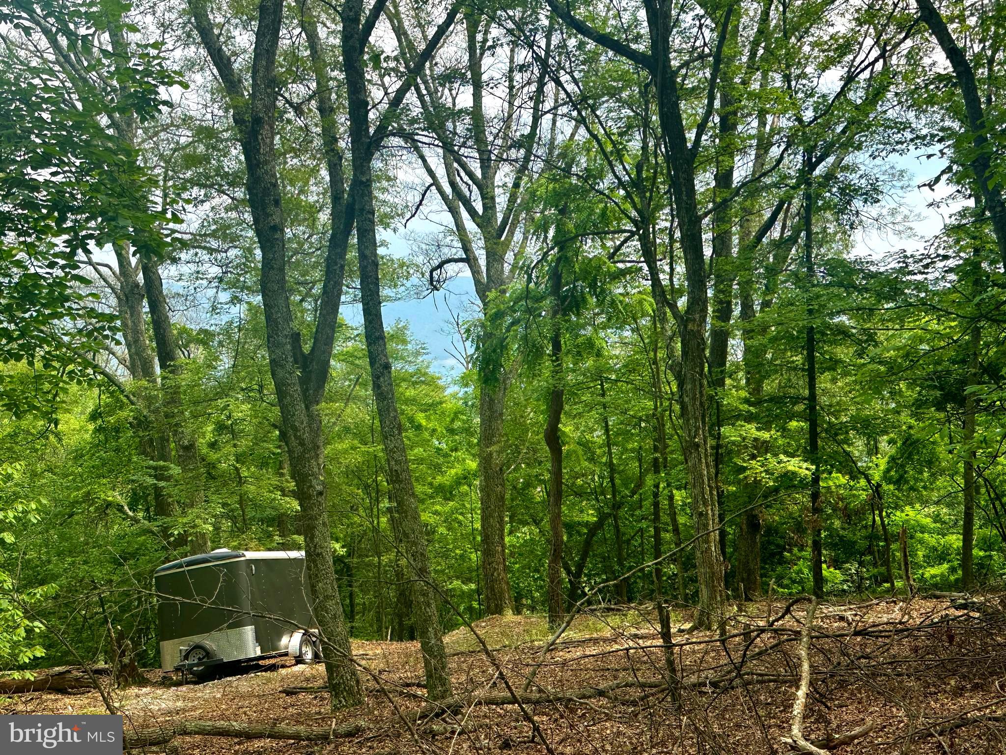 HIGH KNOB/OLD FIELDS OWNERS ASSOC. - Land