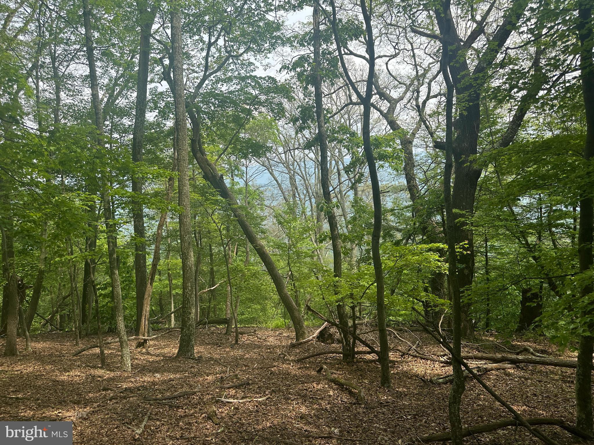 HIGH KNOB/OLD FIELDS OWNERS ASSOC. - Land