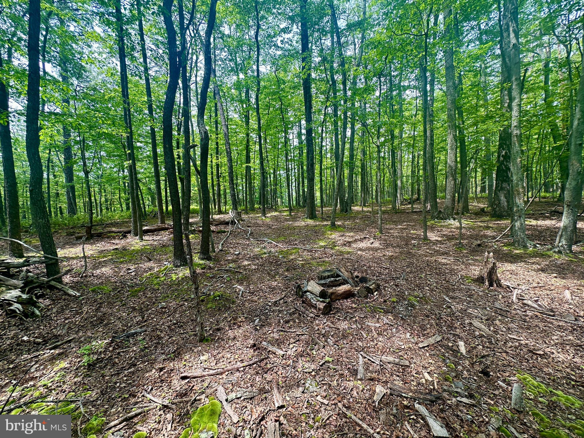 HIGH KNOB/OLD FIELDS OWNERS ASSOC. - Land