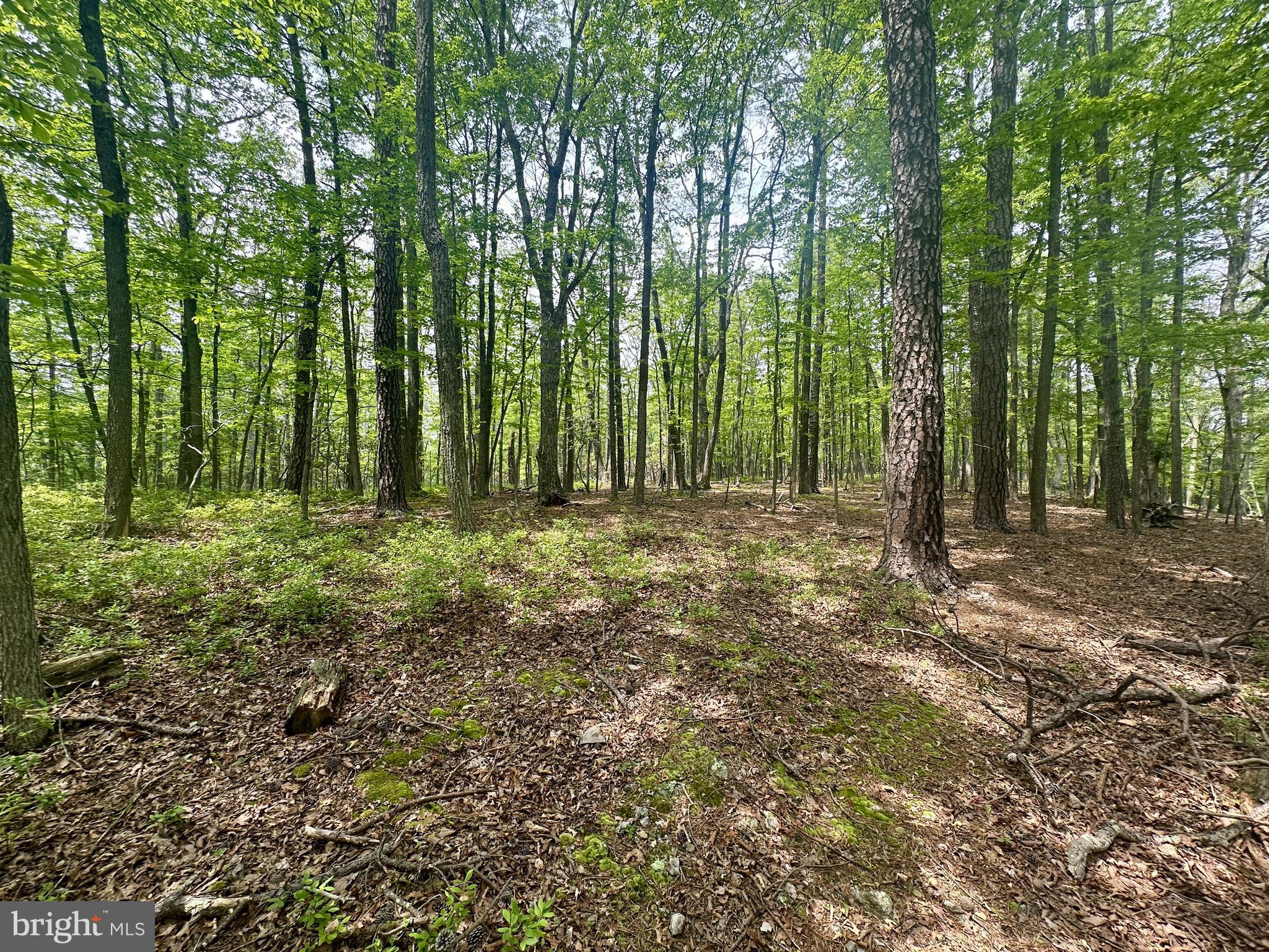 HIGH KNOB/OLD FIELDS OWNERS ASSOC. - Land