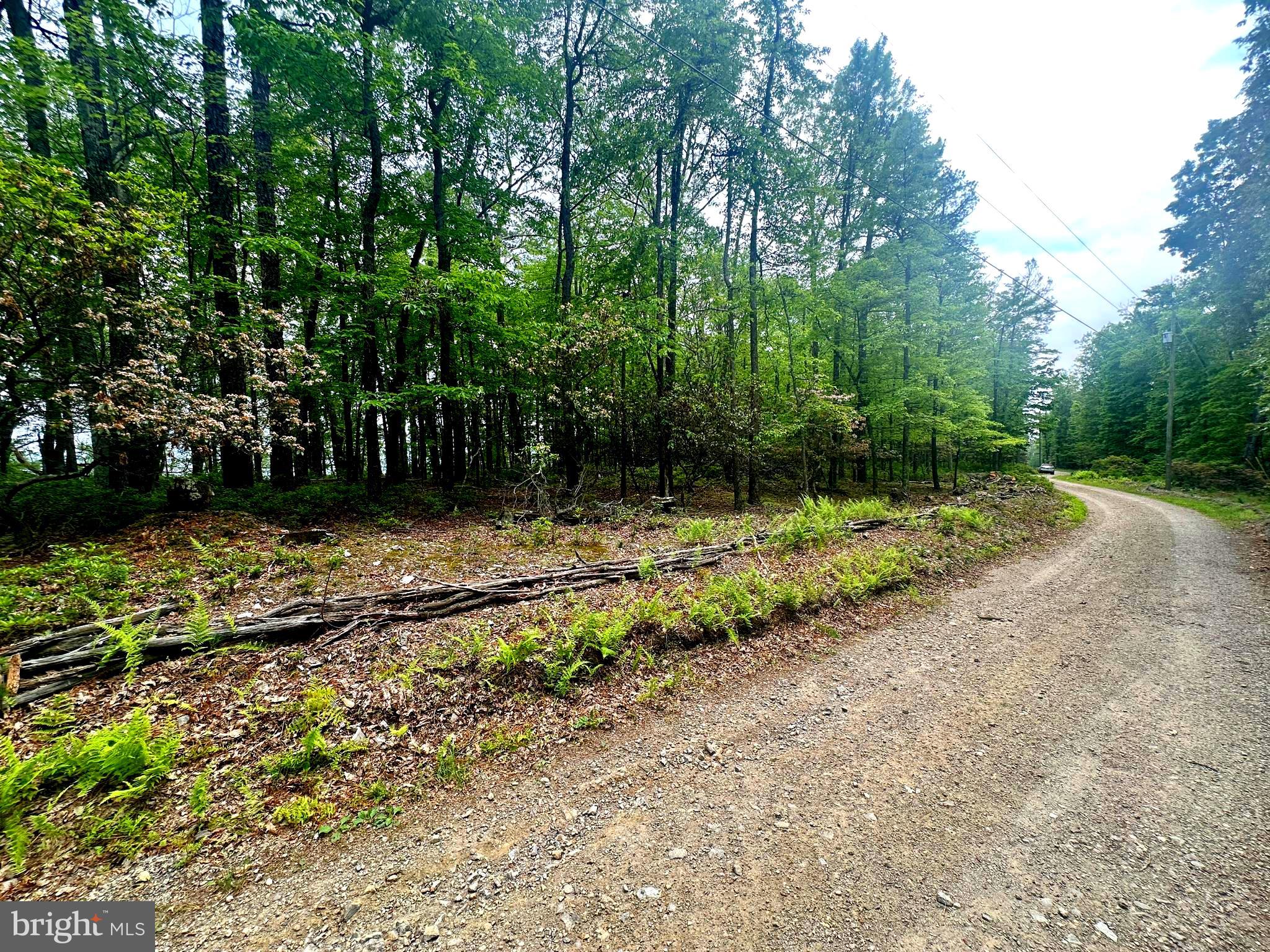 HIGH KNOB/OLD FIELDS OWNERS ASSOC. - Land