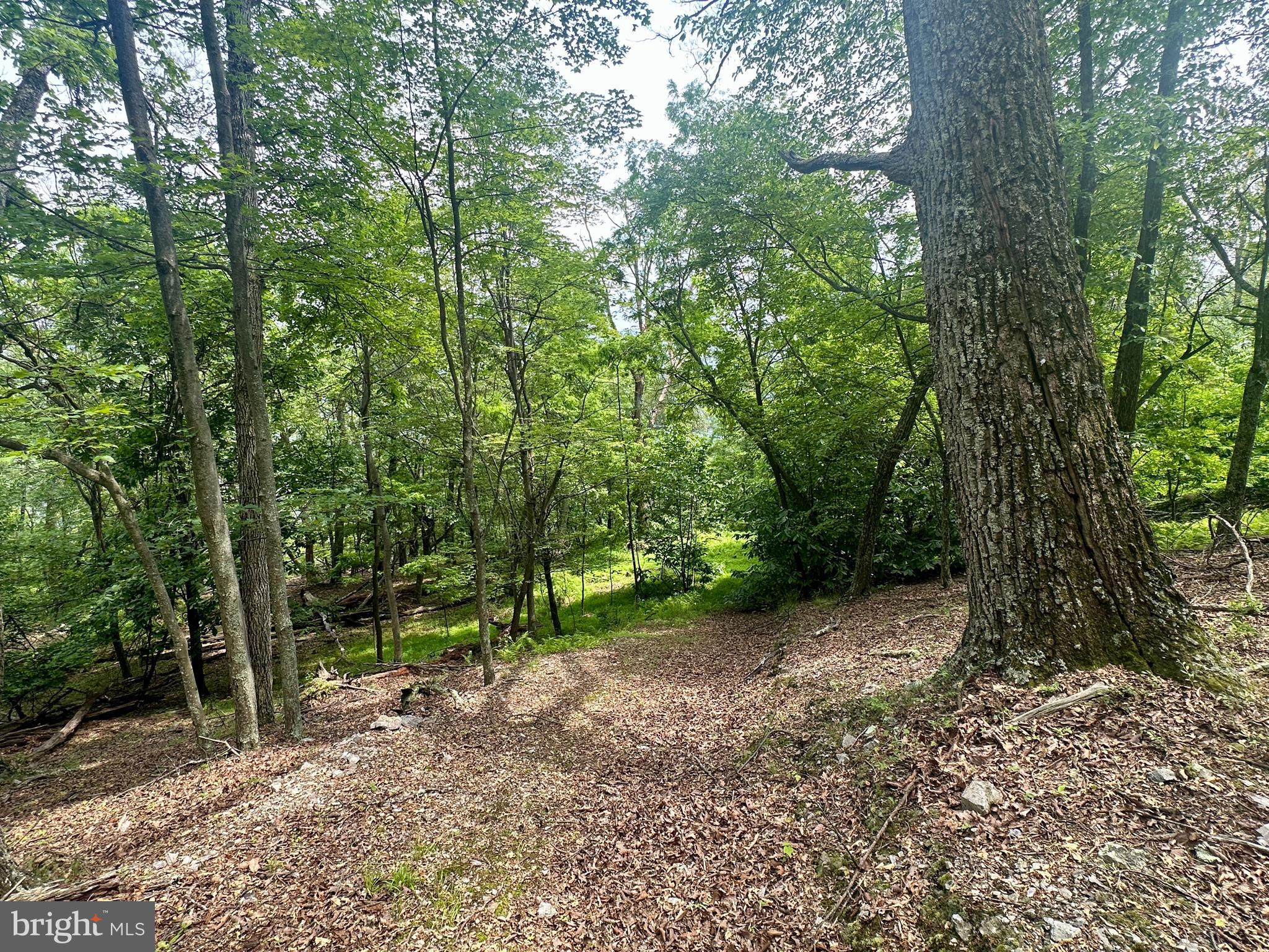 HIGH KNOB/OLD FIELDS OWNERS ASSOC. - Land