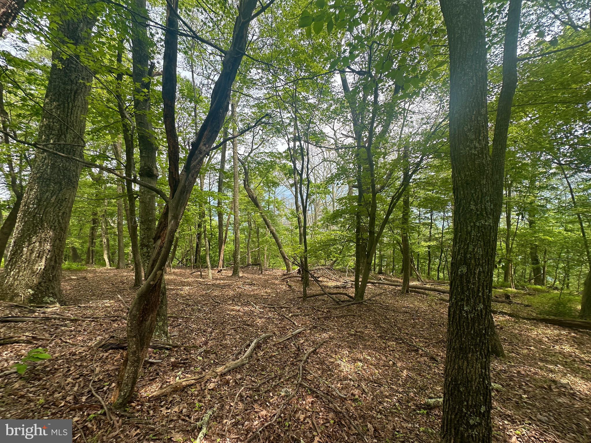 HIGH KNOB/OLD FIELDS OWNERS ASSOC. - Land