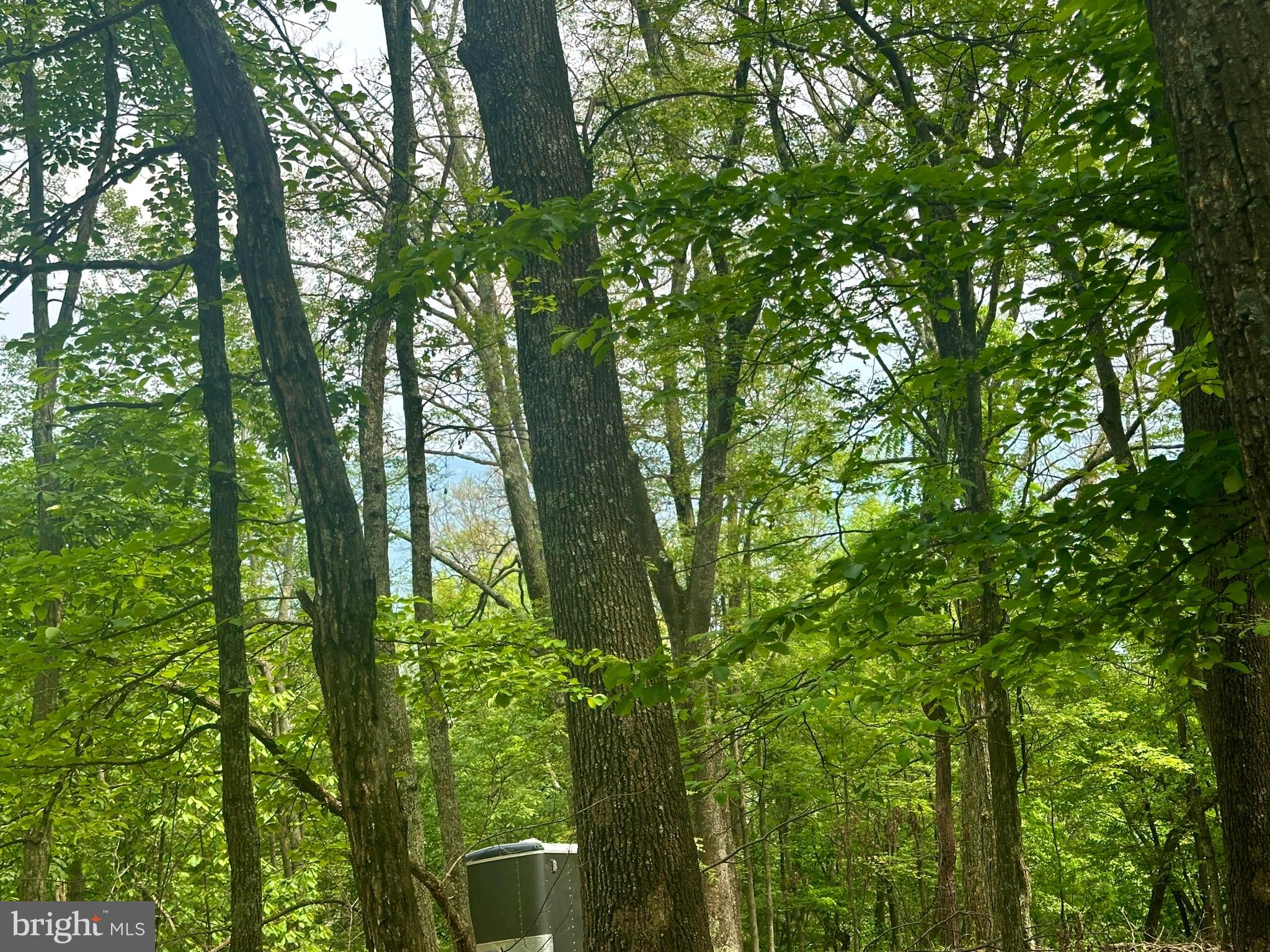 HIGH KNOB/OLD FIELDS OWNERS ASSOC. - Land