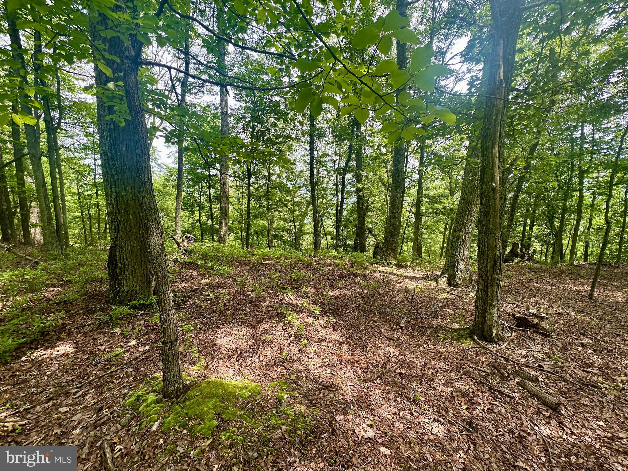 HIGH KNOB/OLD FIELDS OWNERS ASSOC. - Land