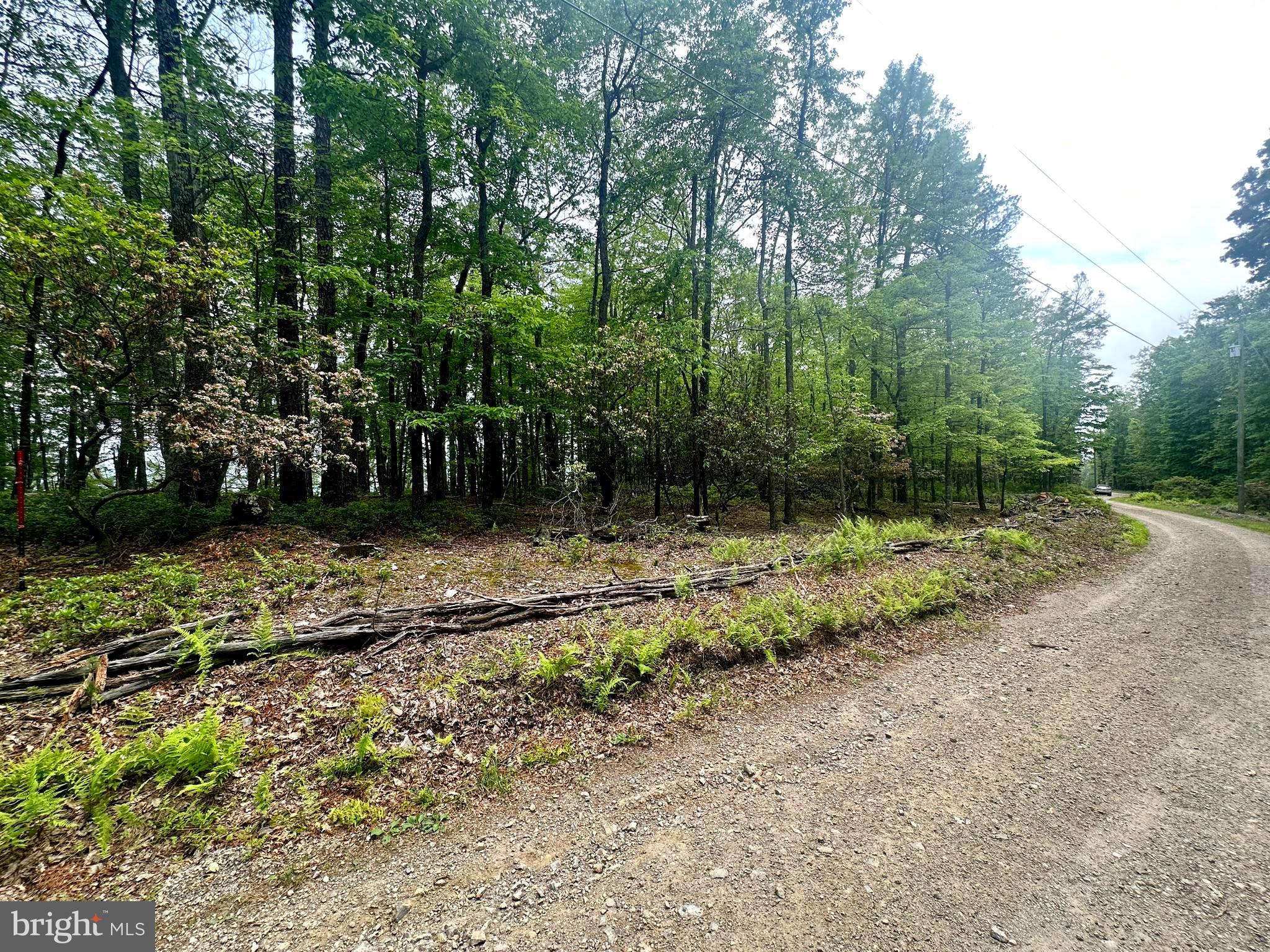 HIGH KNOB/OLD FIELDS OWNERS ASSOC. - Land