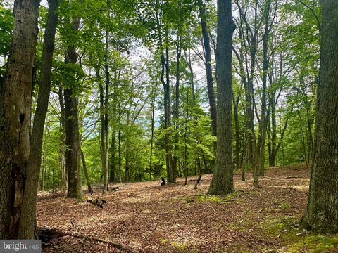 Vacant Land For Sale - 5620 High Knob Loop<br/> OLD FIELDS, WV 26845
