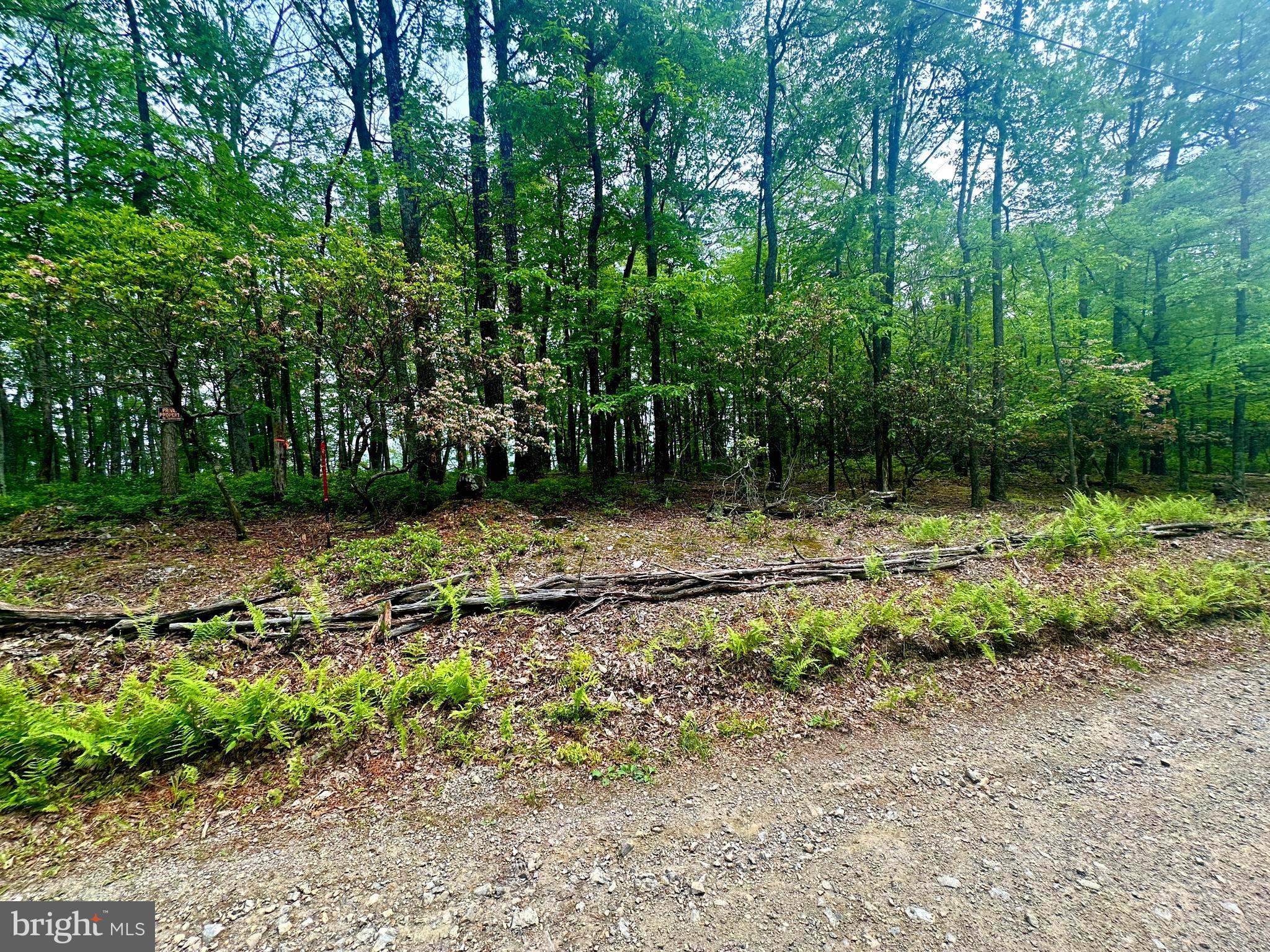 HIGH KNOB/OLD FIELDS OWNERS ASSOC. - Land