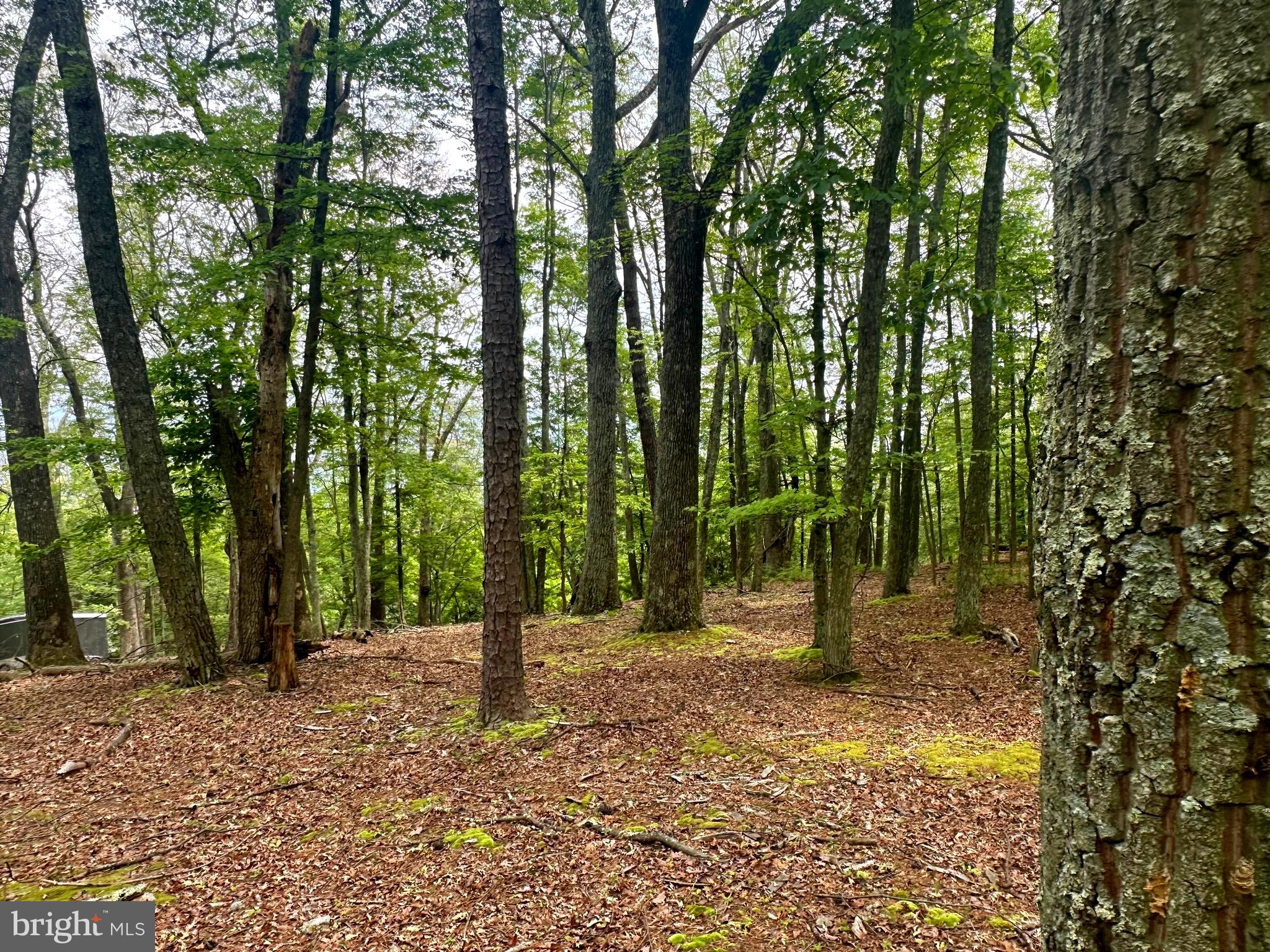 HIGH KNOB/OLD FIELDS OWNERS ASSOC. - Land