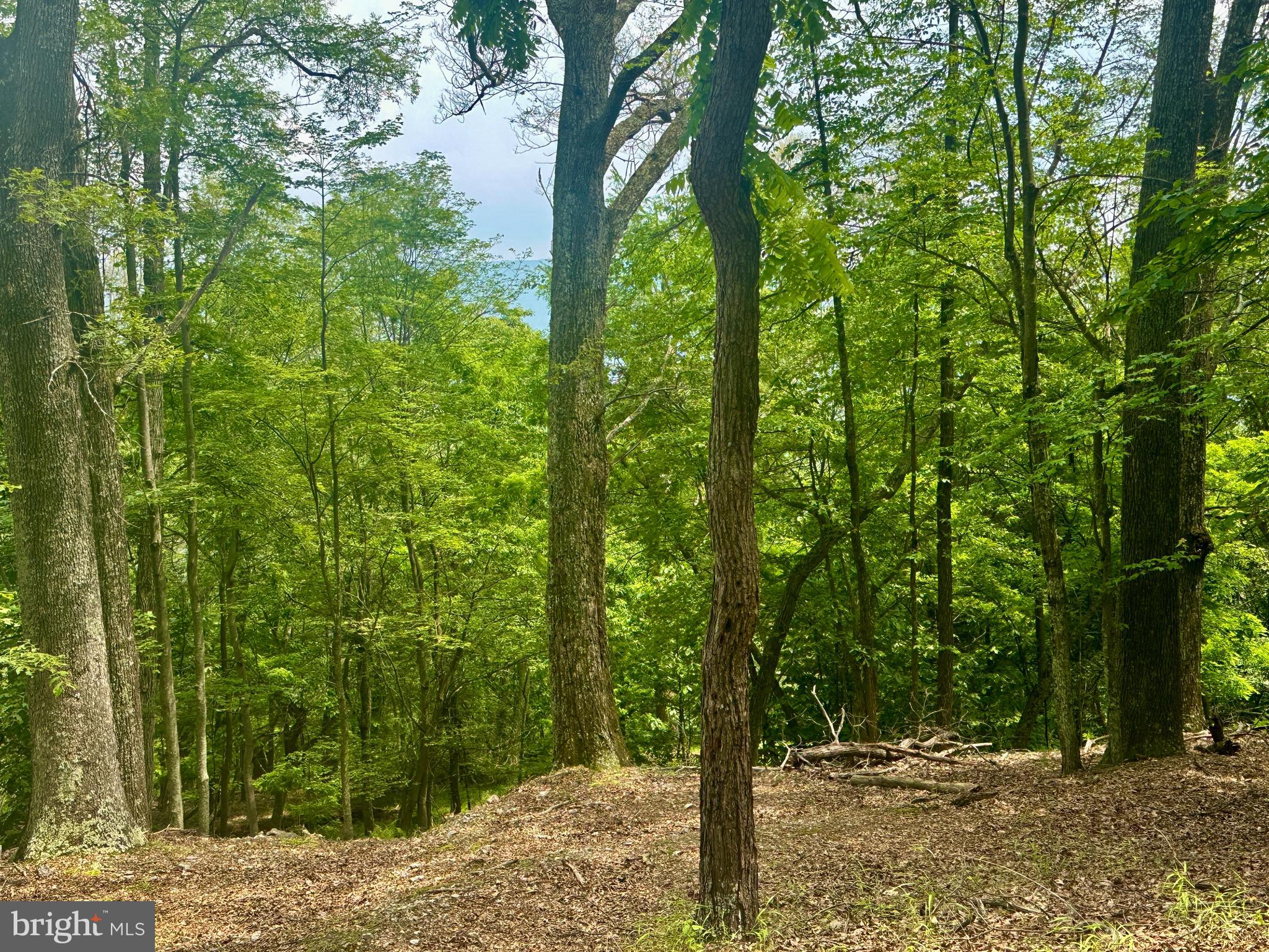 HIGH KNOB/OLD FIELDS OWNERS ASSOC. - Land