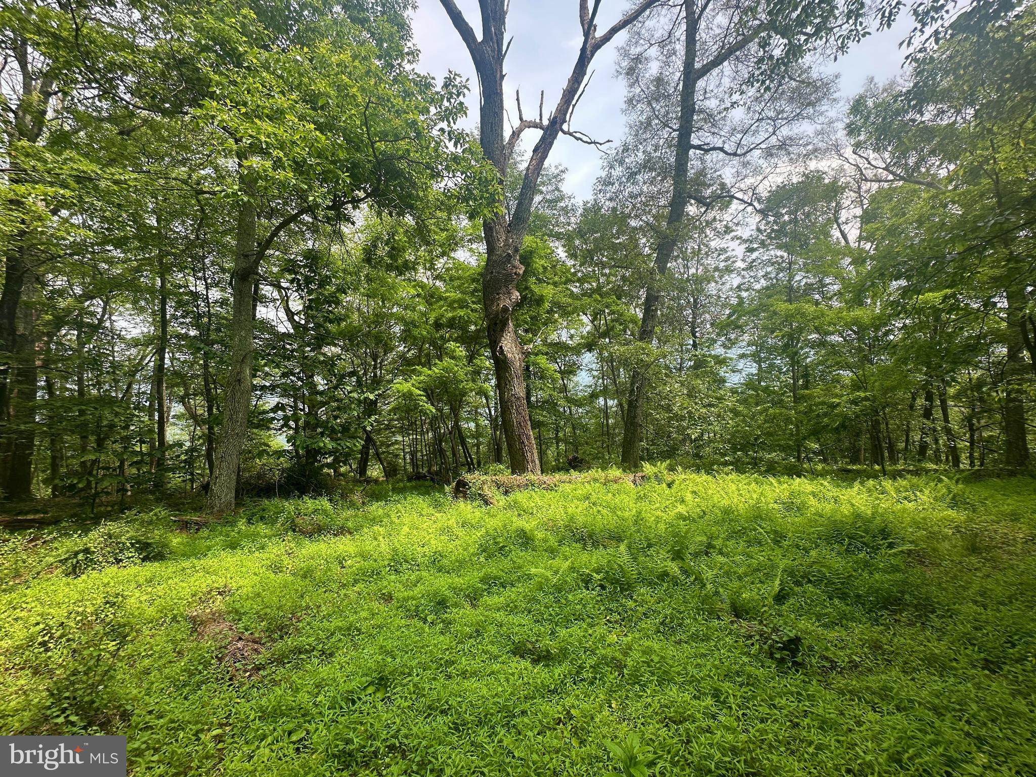 HIGH KNOB/OLD FIELDS OWNERS ASSOC. - Land