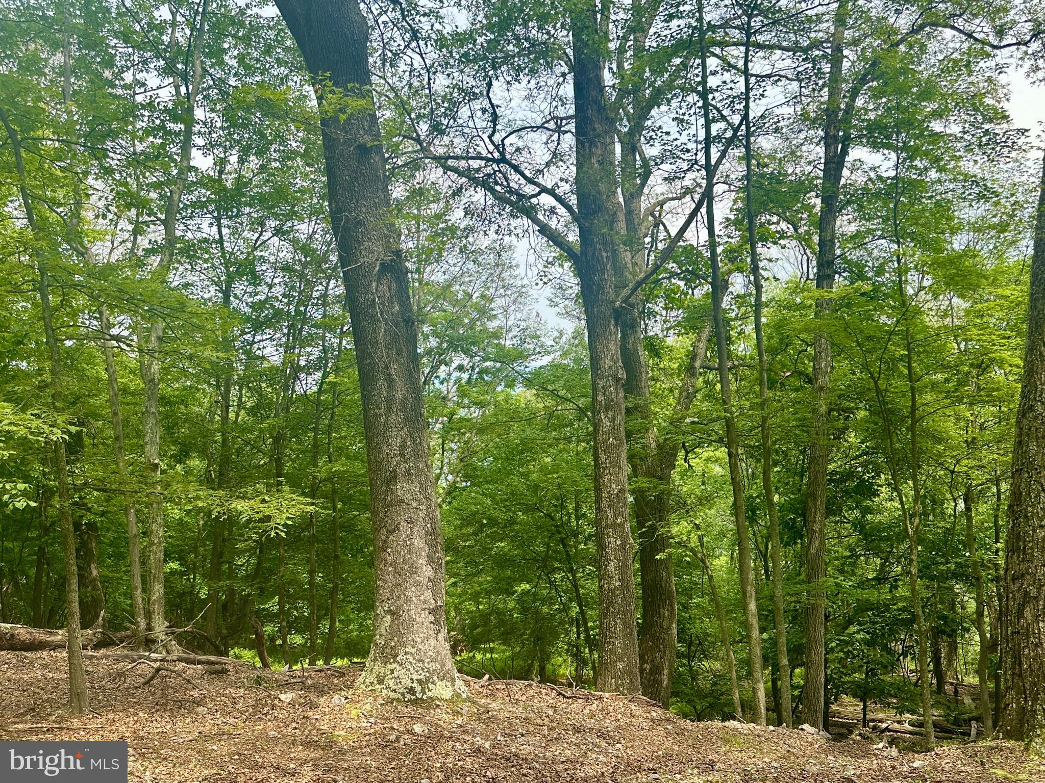 HIGH KNOB/OLD FIELDS OWNERS ASSOC. - Land