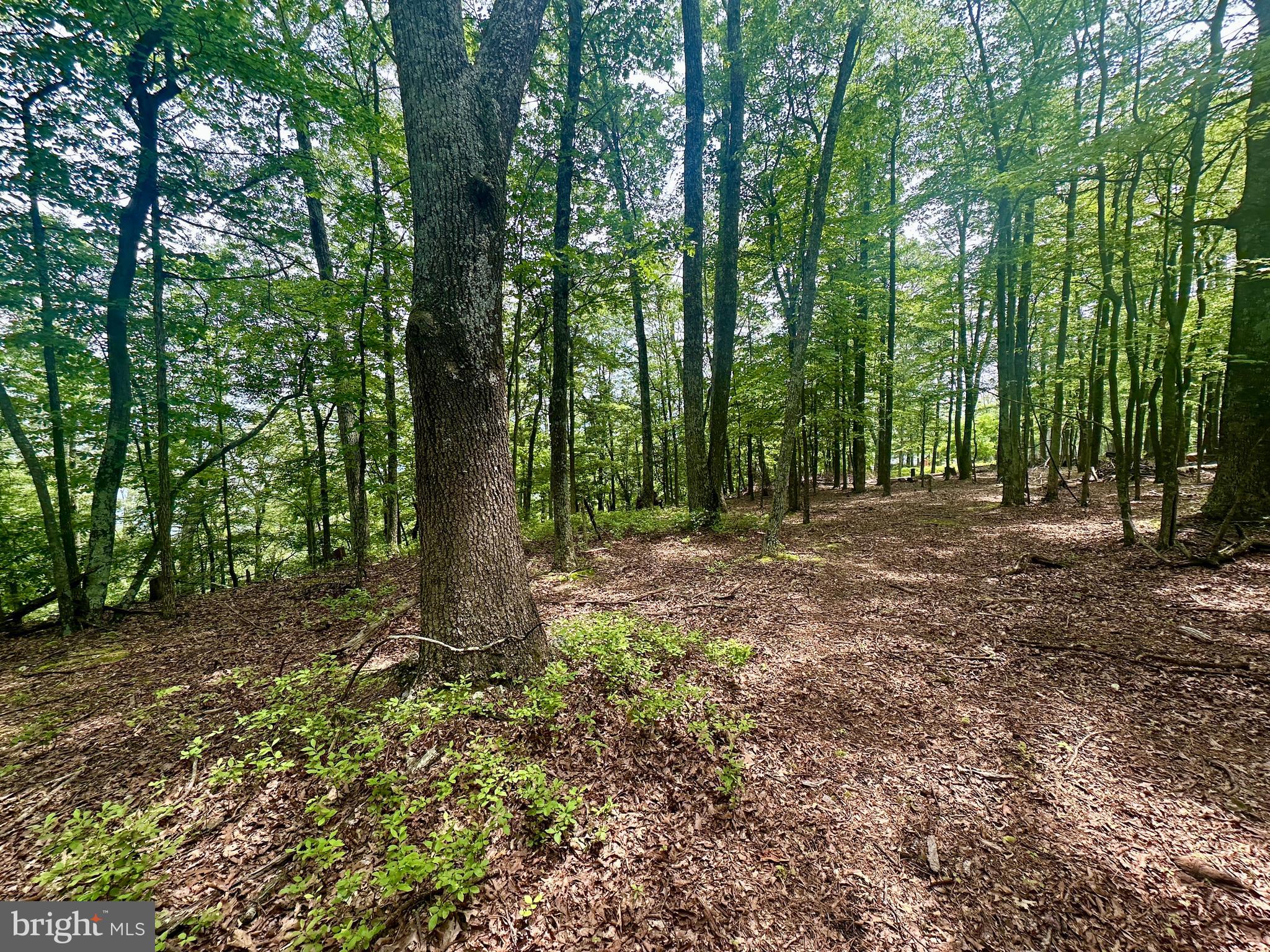 HIGH KNOB/OLD FIELDS OWNERS ASSOC. - Land